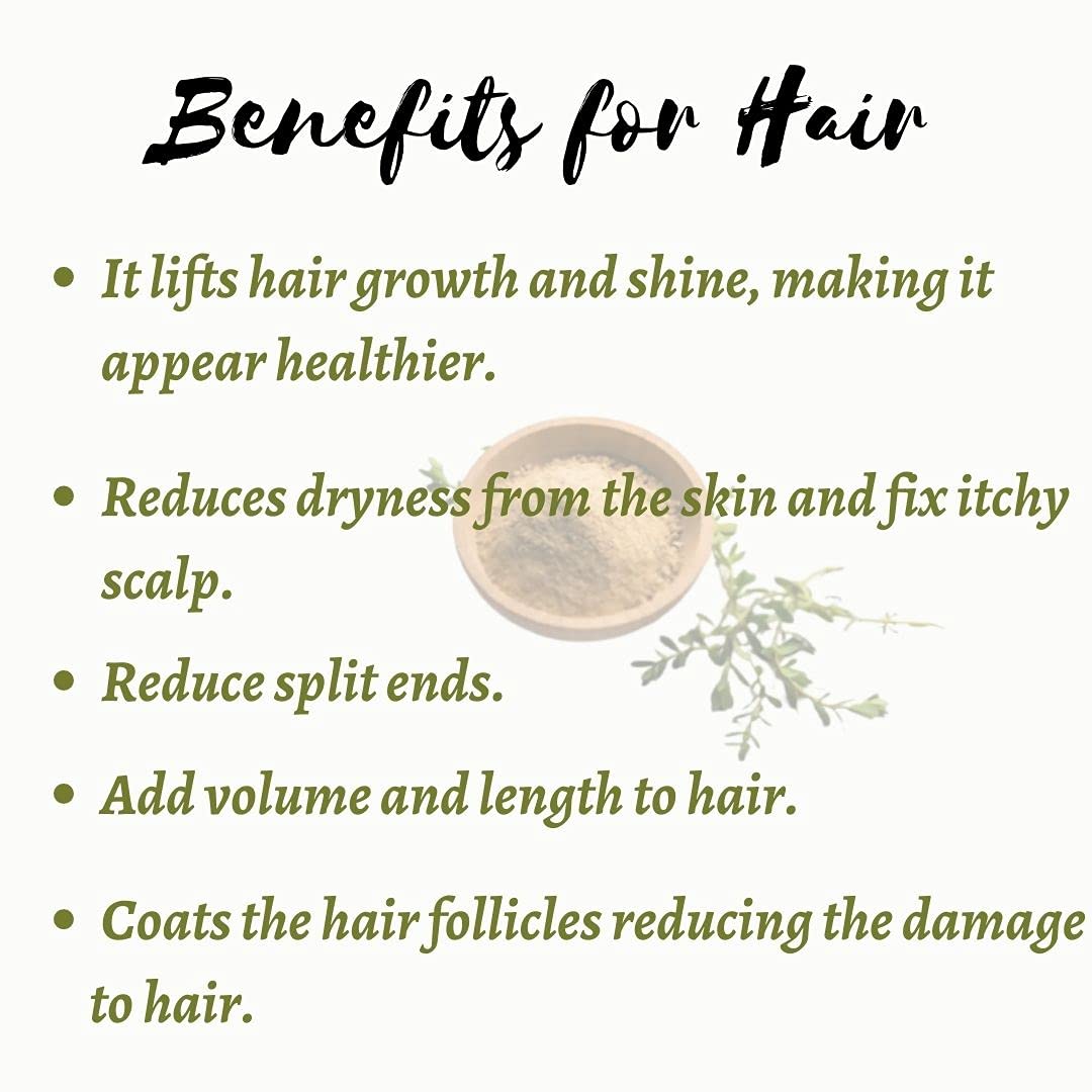 Organic Brahmi Powder (Bacopa Monnieri) - 100% Natural Hair Cleanser for Shiny & Smooth Hair | Ayurvedic Herbal Supplement for Hair Growth & Scalp Care | 100g Pack | Perfect for DIY Hair Masks & Ayurvedic Treatments