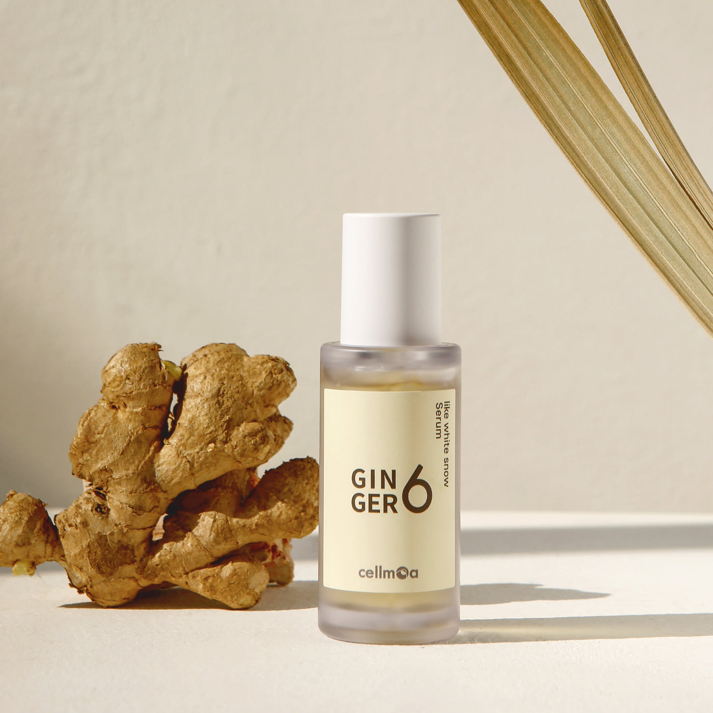 Ginger6 Like White Snow Serum 30ml - Brightening & Hydrating Facial Treatment for Glowing Skin | Perfect for Daily Skincare Routine & Nighttime Regimen
