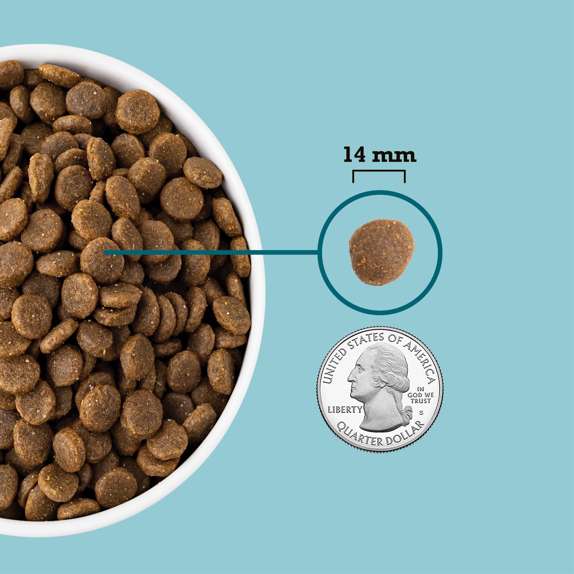 ACANA Grain Free Dry Dog Food - Freshwater Fish Recipe, 13lb Bag | Premium High Protein Kibble for Adult Dogs | Perfect for Active Pets & Sensitive Stomachs