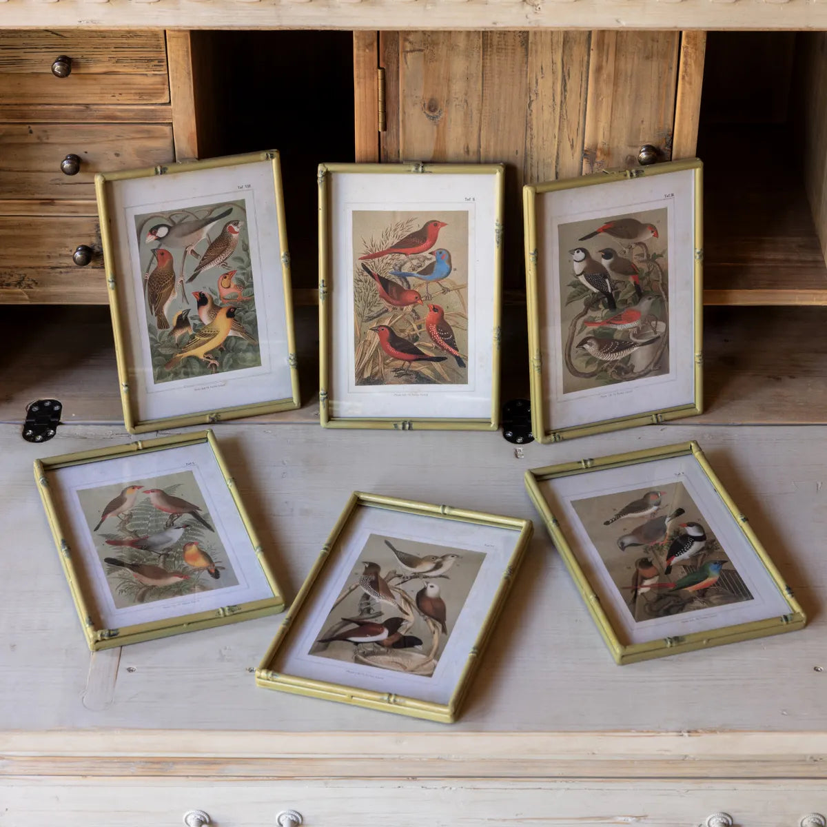 Vintage Faux Bamboo Framed Song Bird Prints Set of 3 - Hand Painted Nature Wall Art Decor for Living Room, Bedroom & Office - Perfect for Home, Cottage & Farmhouse Style Interior Design