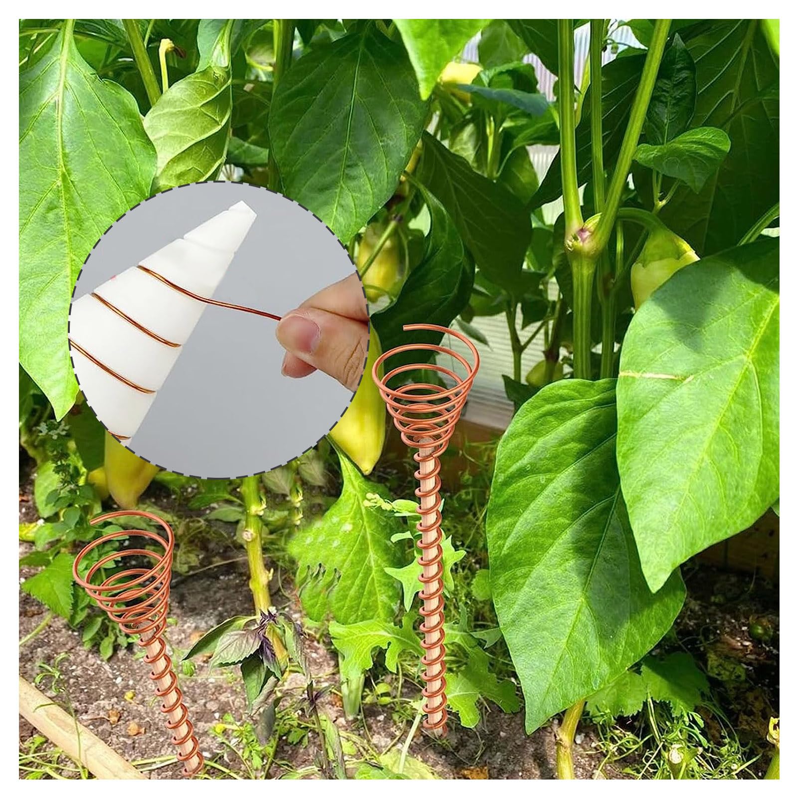 2 PCS Electro Culture Copper Coil Winding Jigs - Gardening Antenna Making Tool for Growing Plants & Vegetables | DIY Garden Plant Growth Enhancer for Organic Farming & Home Gardens