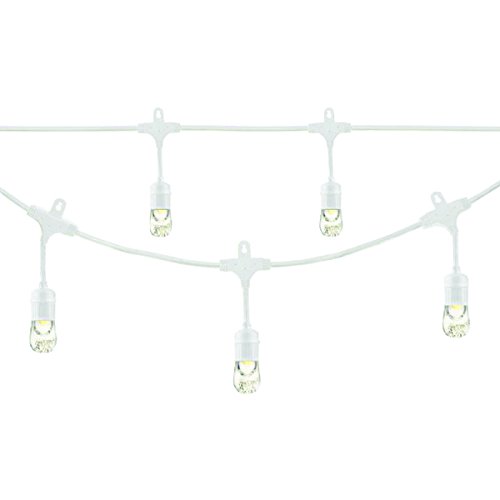 24 ft. Classic LED Cafe Lights with 12 Acrylic Bulbs - Outdoor String Lights for Patio, Garden, Wedding & Backyard Decor