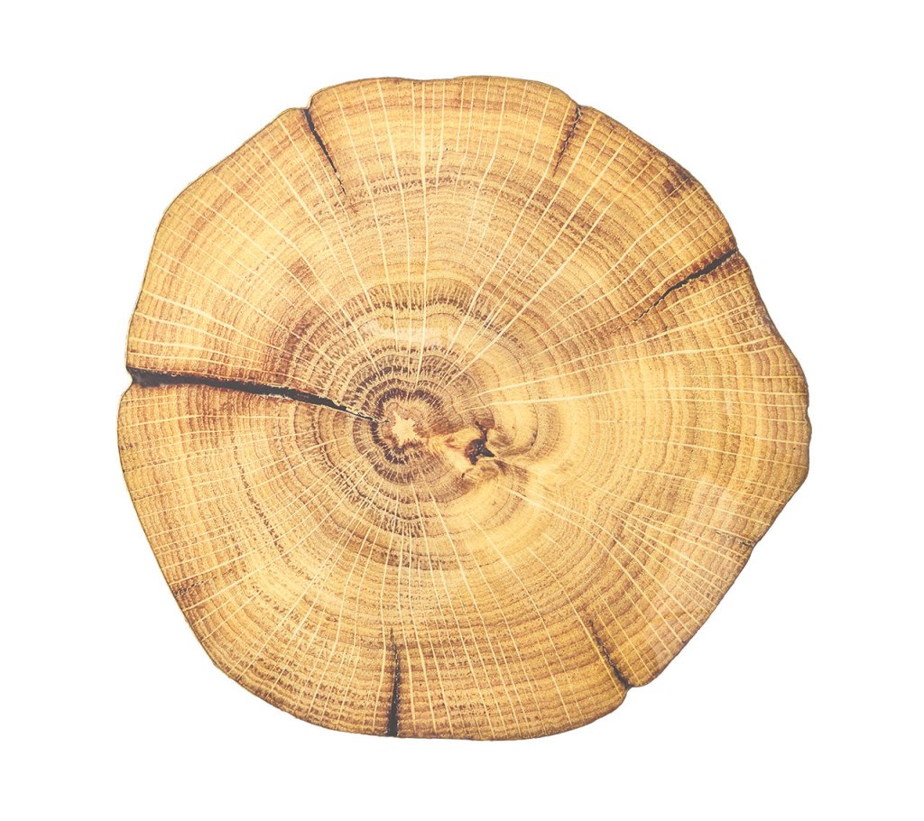Natural & Brown Woodland Placemat Set of 4 - Eco-Friendly Table Mats for Dining, Kitchen, and Outdoor Picnics