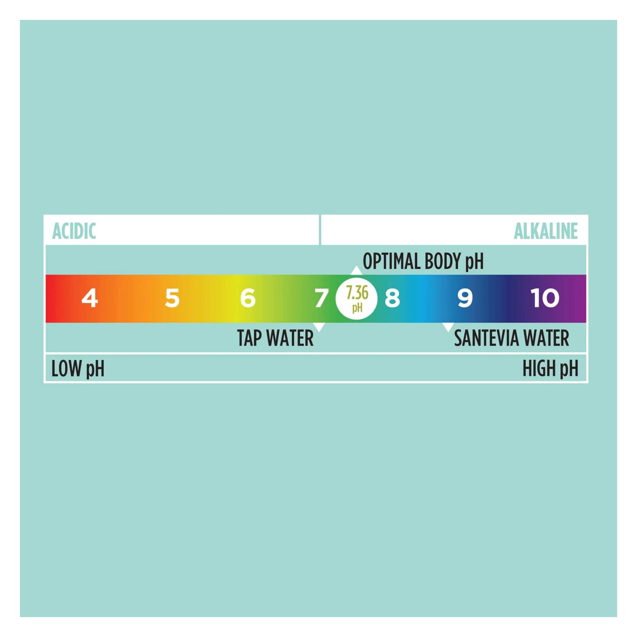 Accurate pH Water Test Kit for Drinking, Aquariums & Pools | Fast & Easy Water Quality Testing at Home or Lab