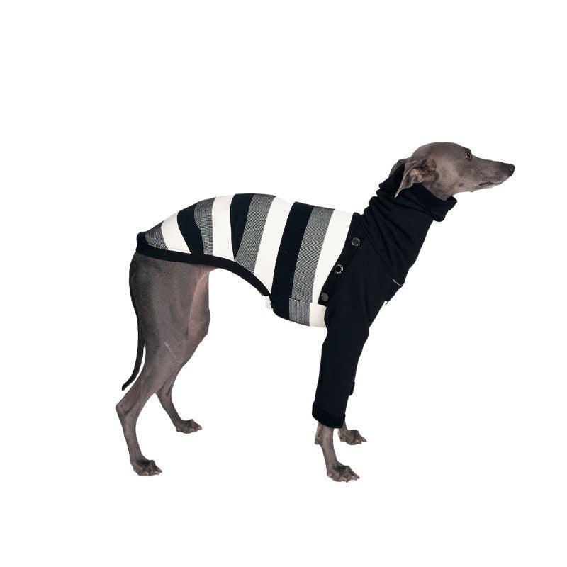 Zephyr Zebra Print Sweater for Women - Stylish Animal Print Pullover for Casual Wear & Fall Fashion