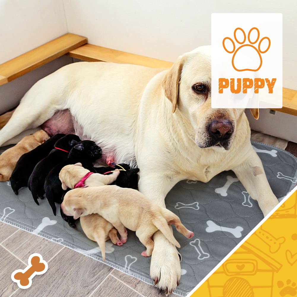 6 Pack Washable & Reusable Dog Pee Pads - 32x28 Inch Non-Slip Puppy Training Pads with Super Absorbent Core | Ideal for Potty Training, Whelping, Playpen & Indoor/Outdoor Use