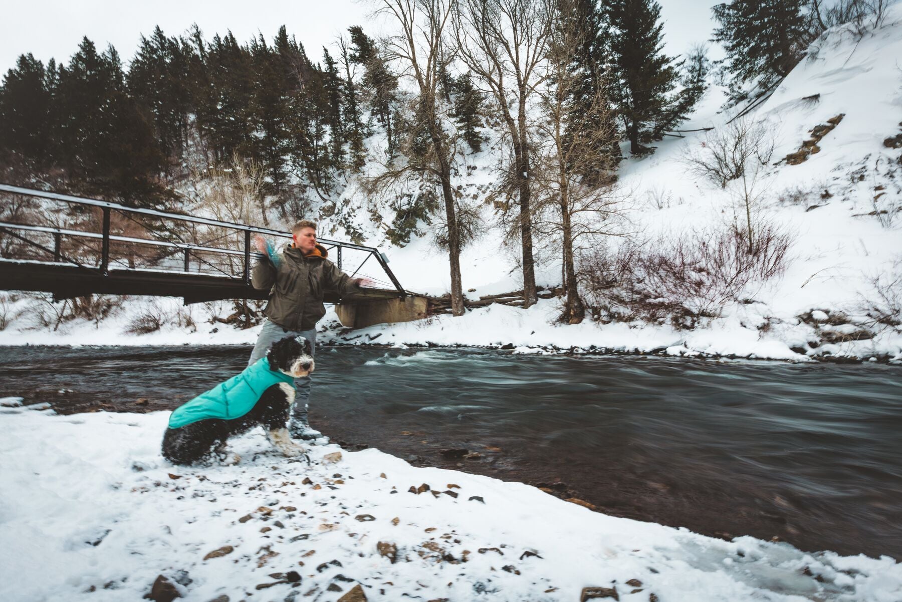 Ruffwear Quinzee™ Insulated & Foldable Dog Jacket - Fireweed Pink | Warm & Water-Resistant for Outdoor Adventures, Hiking & Cold Weather Protection