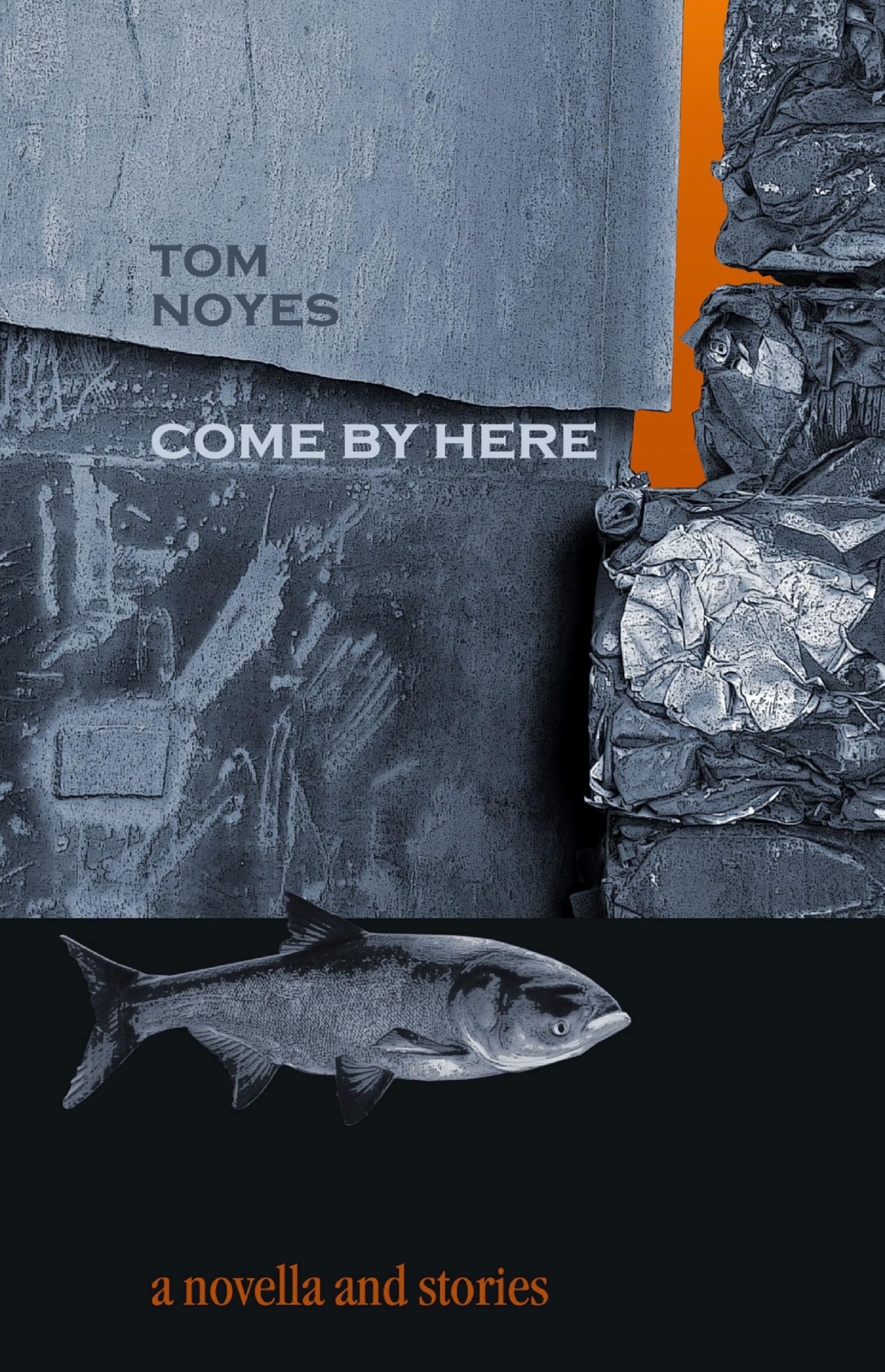 Come By Here - Award-Winning Fiction Novel by Autumn House Press | Literary Fiction Book for Book Clubs & Reading Enthusiasts