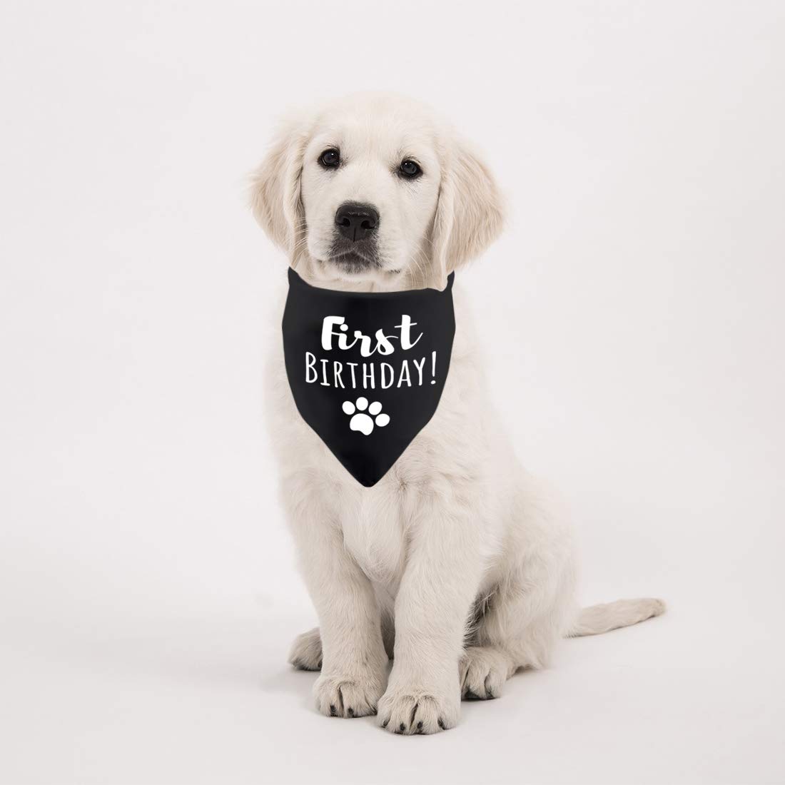 2 Pack Dog Bandana for 1st Birthday - Its My Birthday Party Accessory for Puppy & Cat - Cute Pet Bandanas for Birthday Celebrations & Photo Shoots