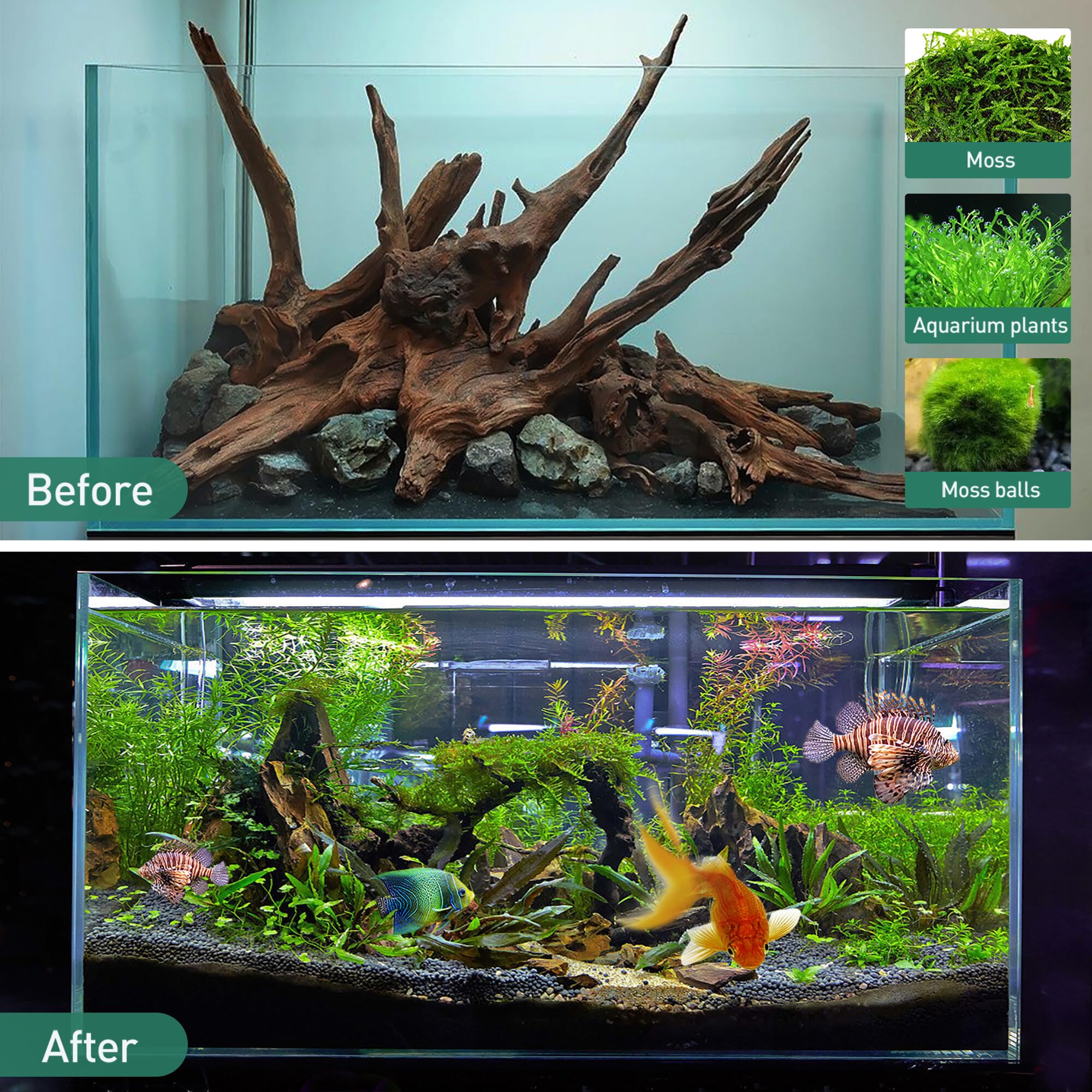 WDEFUN Natural Driftwood for Aquarium Decor - 3-Piece Set (7''-11'') Large Driftwood for Fish Tank, Reptile Terrarium & Air Plants - Perfect for Bearded Dragon Habitats, Aquascaping & Home Décor