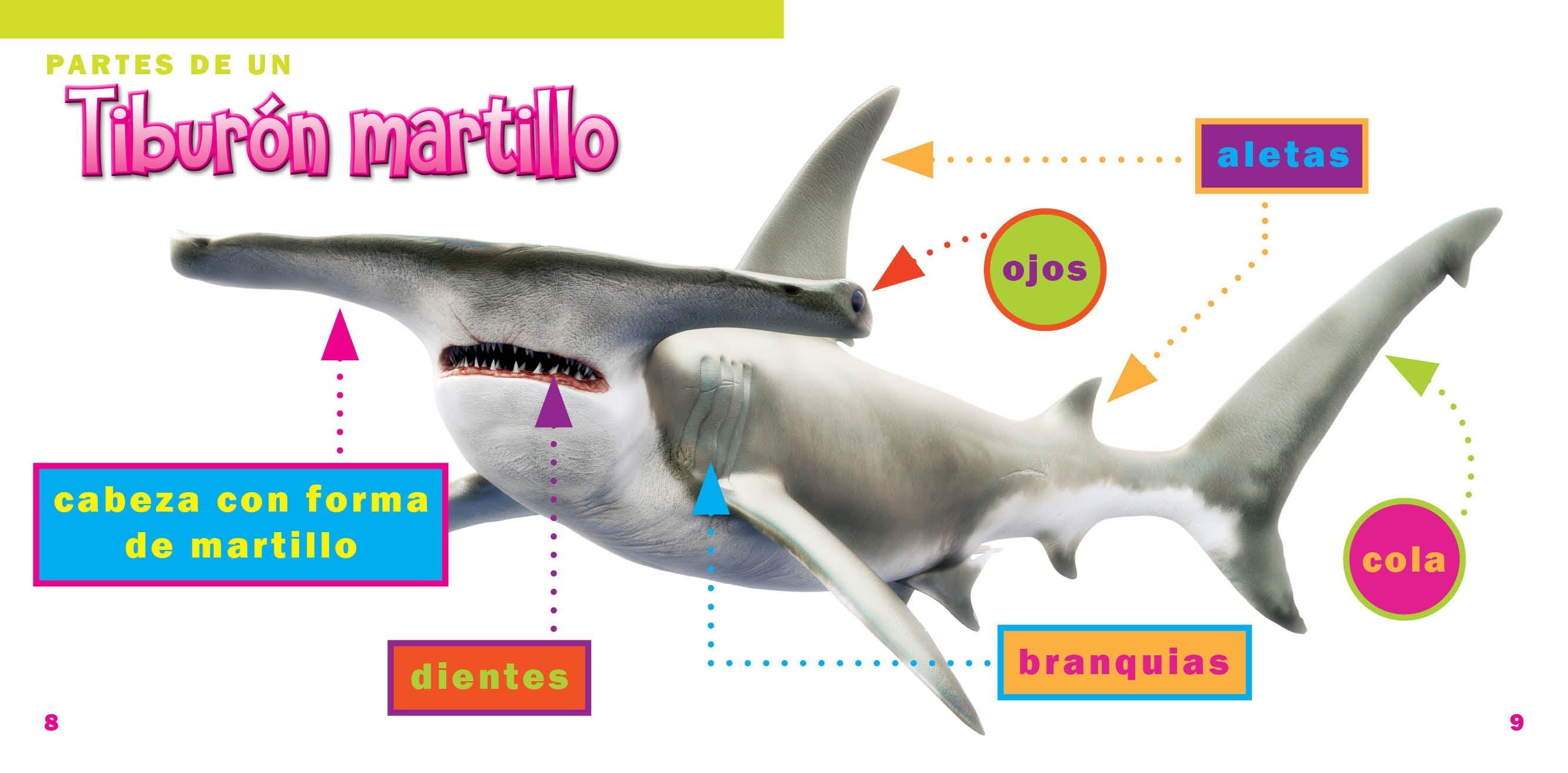 Hammerhead Shark Figurine - Realistic Ocean Animal Toy for Kids & Collectors - Perfect for Educational Play, Home Decor, and Aquarium Displays