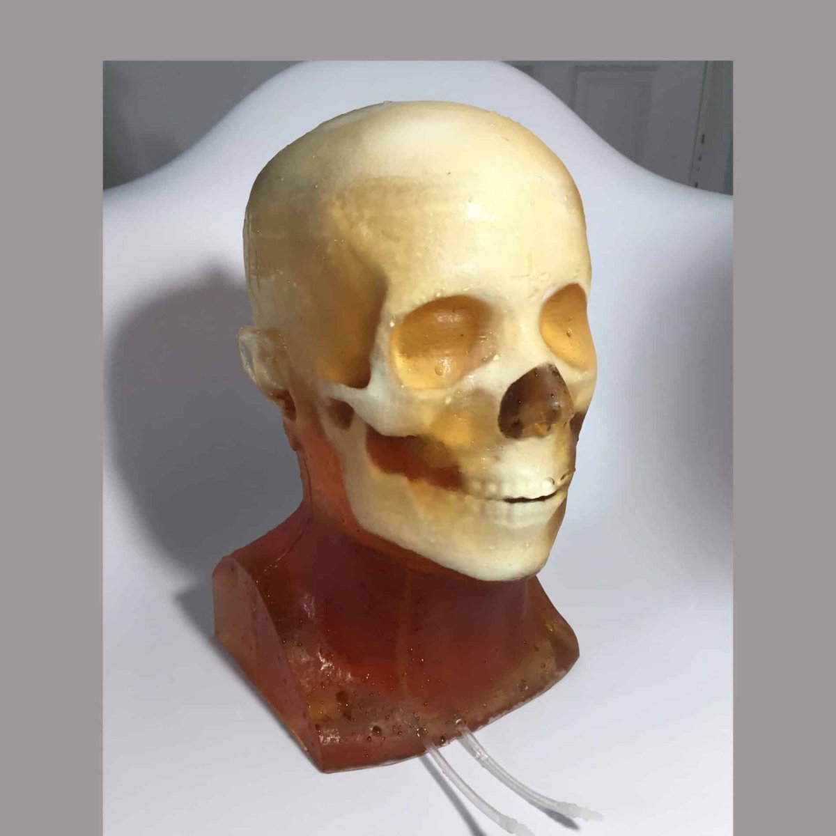 Hematoma Adult Head Phantom for X-Ray, CT, Ultrasound & MRI Training - Medical Imaging Practice for Radiology Students and Professionals