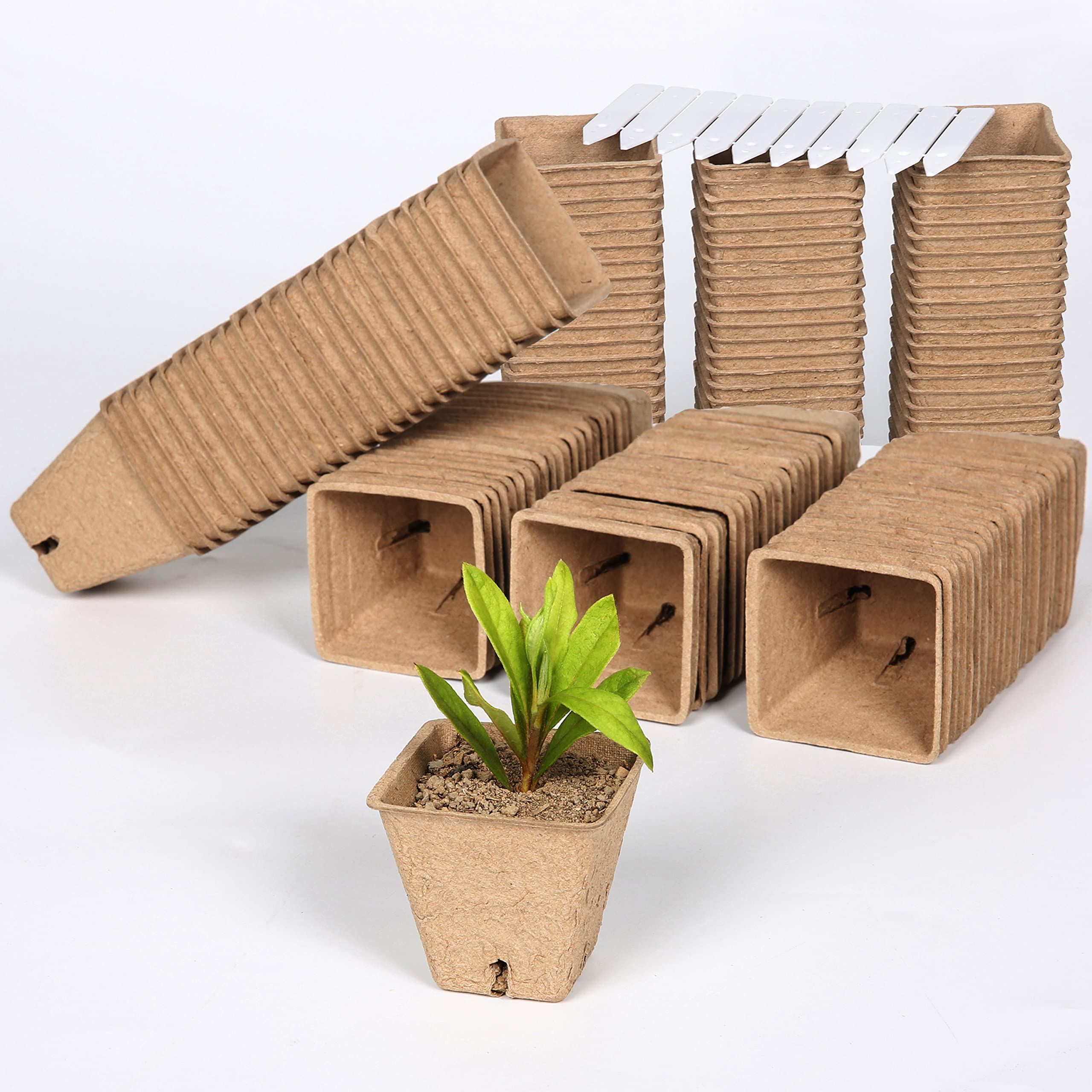 **TIROTECHS Biodegradable Peat Pots - Seed Starter Tray Kit for Indoor & Outdoor Gardening | Eco-Friendly Seedling Pots for Vegetables, Herbs & Flowers | Perfect for Home Garden & Greenhouses**