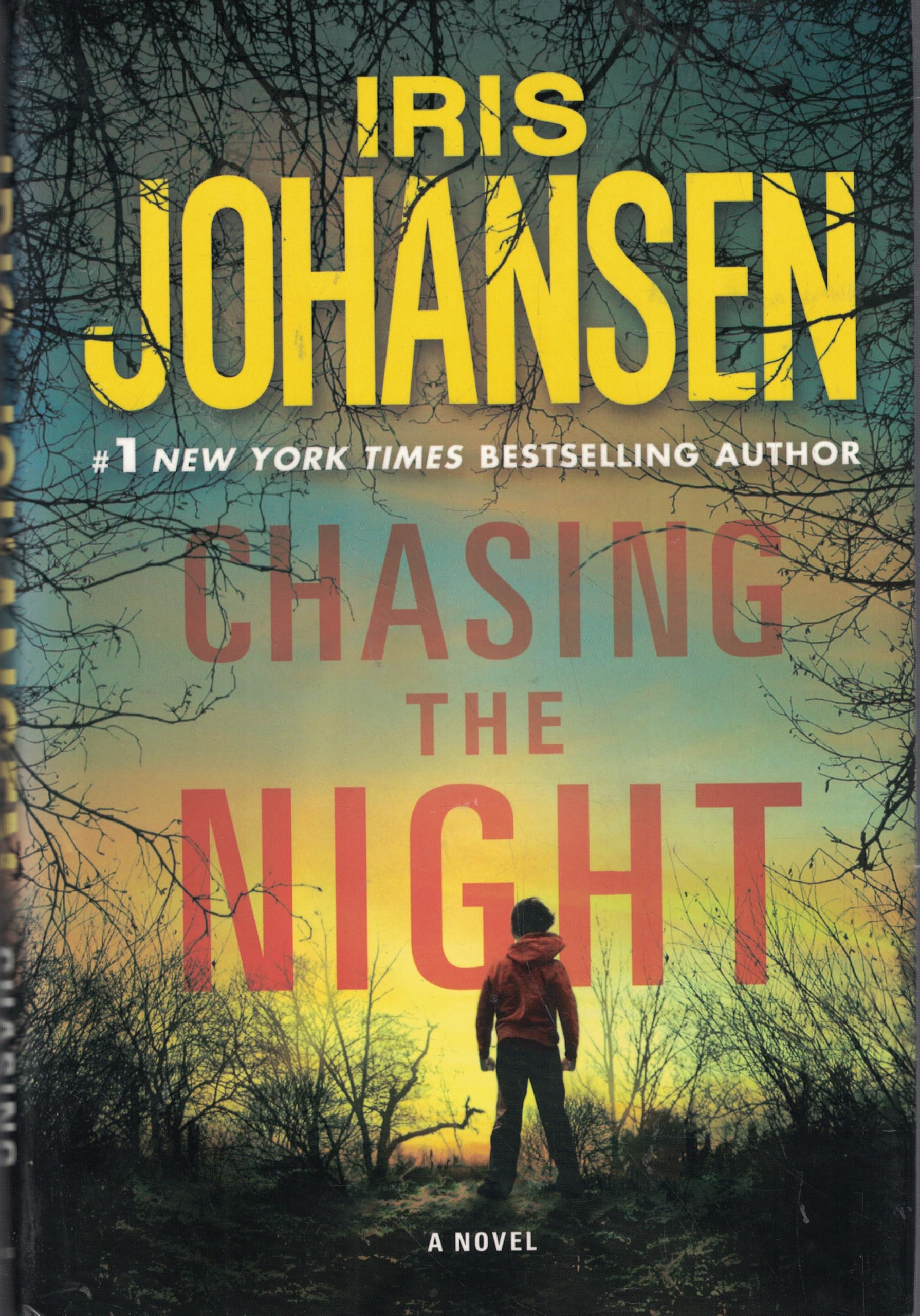 Chasing the Night (Eve Duncan) - Thriller Novel by Iris Johansen - Perfect for Mystery Lovers & Book Club Discussions