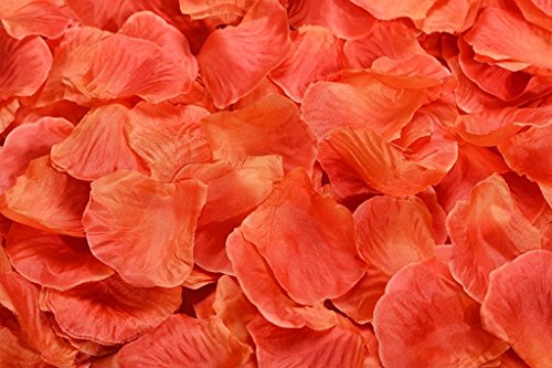Orange Red