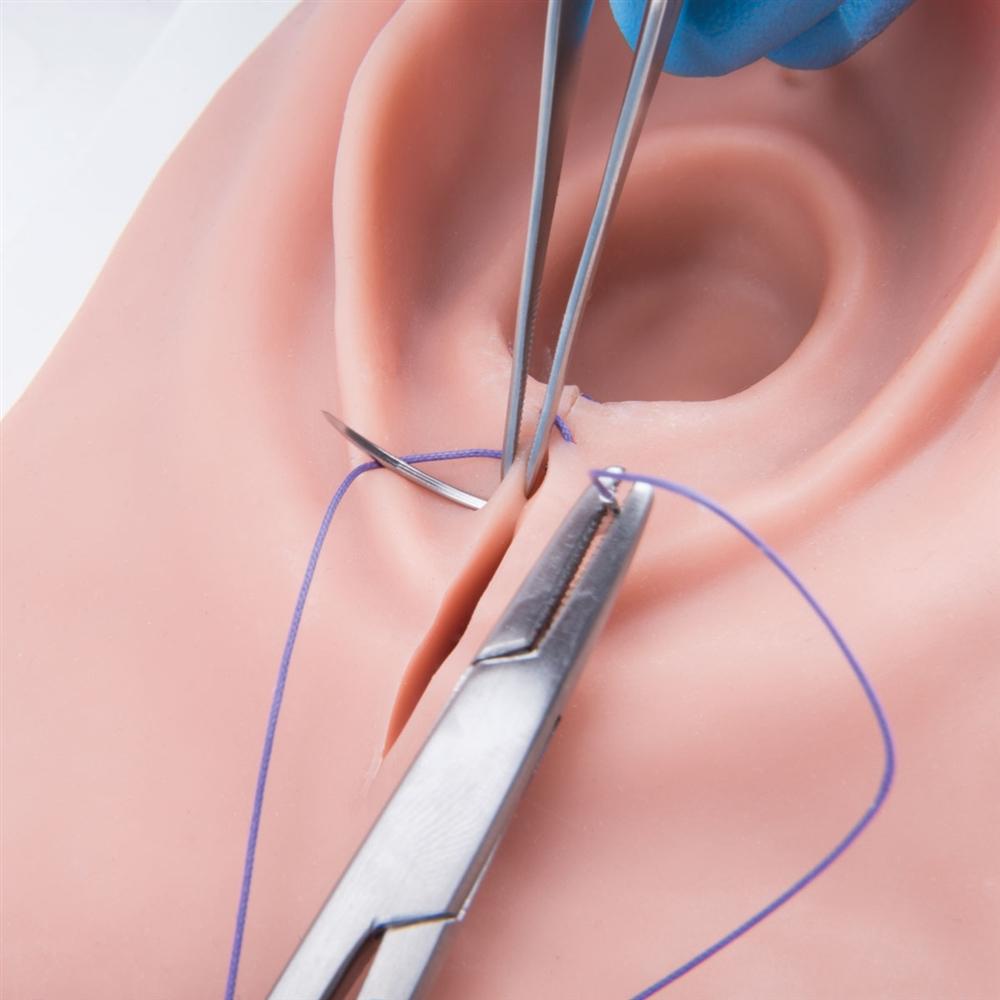 Episiotomy and Suturing Simulator with Realistic Lighting - Medical Training Model for OBGYN Students & Midwives - Perfect for Clinical Practice & Surgical Skills Development