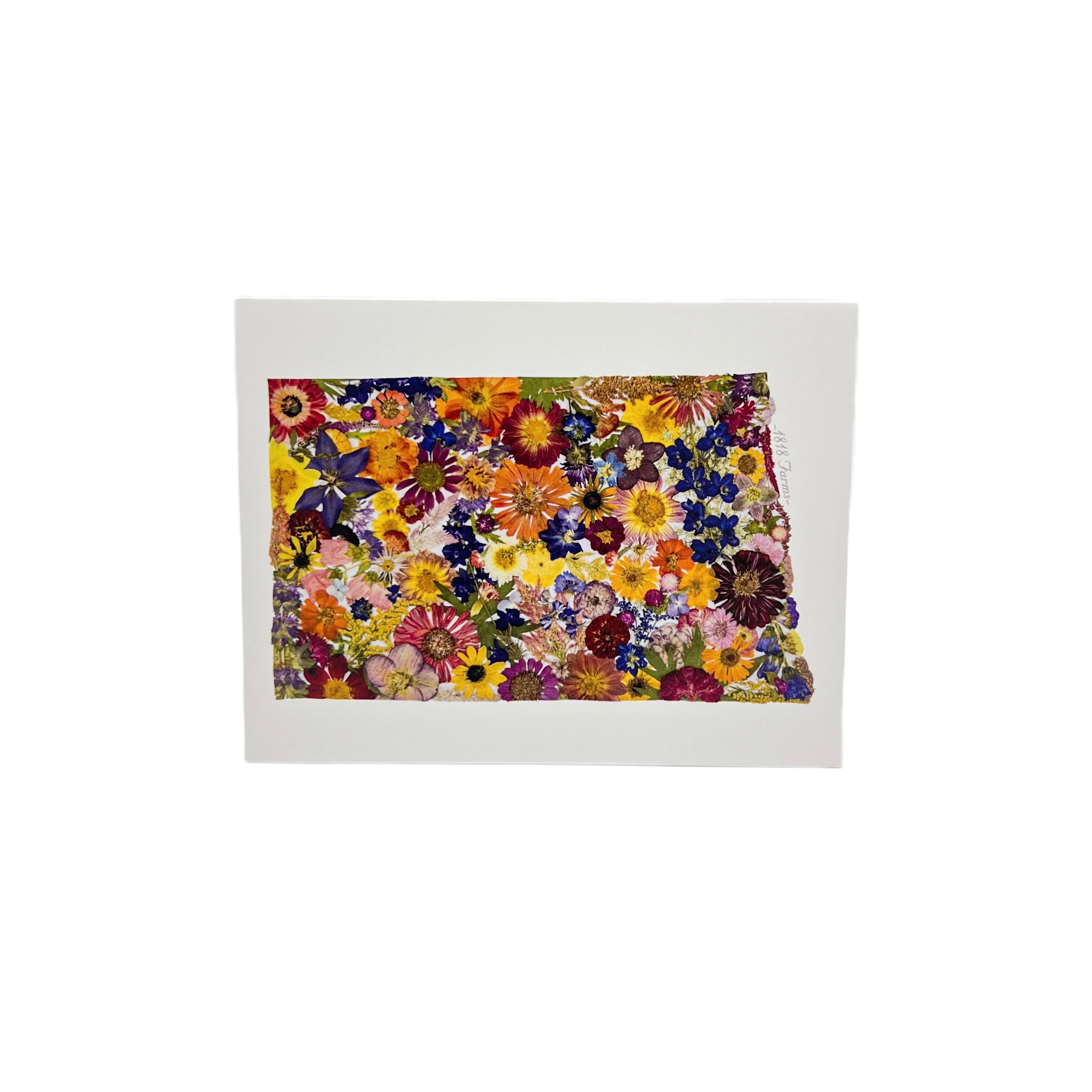 Pressed Flower Notecards - Handmade Botanical Stationery for Greetings, Thank You Cards & Wedding Invitations | Eco-Friendly Gift Idea
