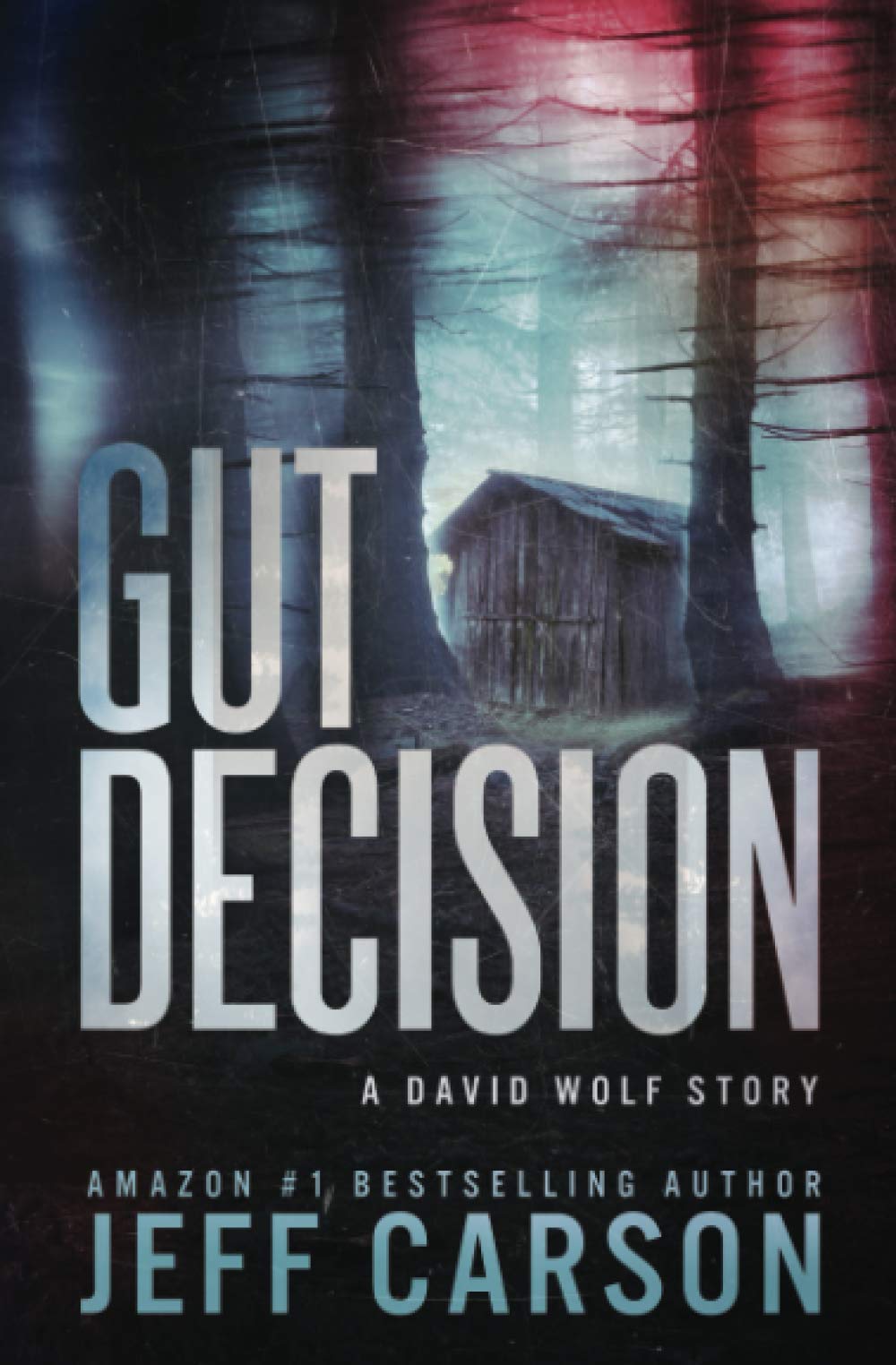Gut Decision: A David Wolf Short Story – Mystery Thriller Series | Perfect for Commute Reading & Book Club Discussions