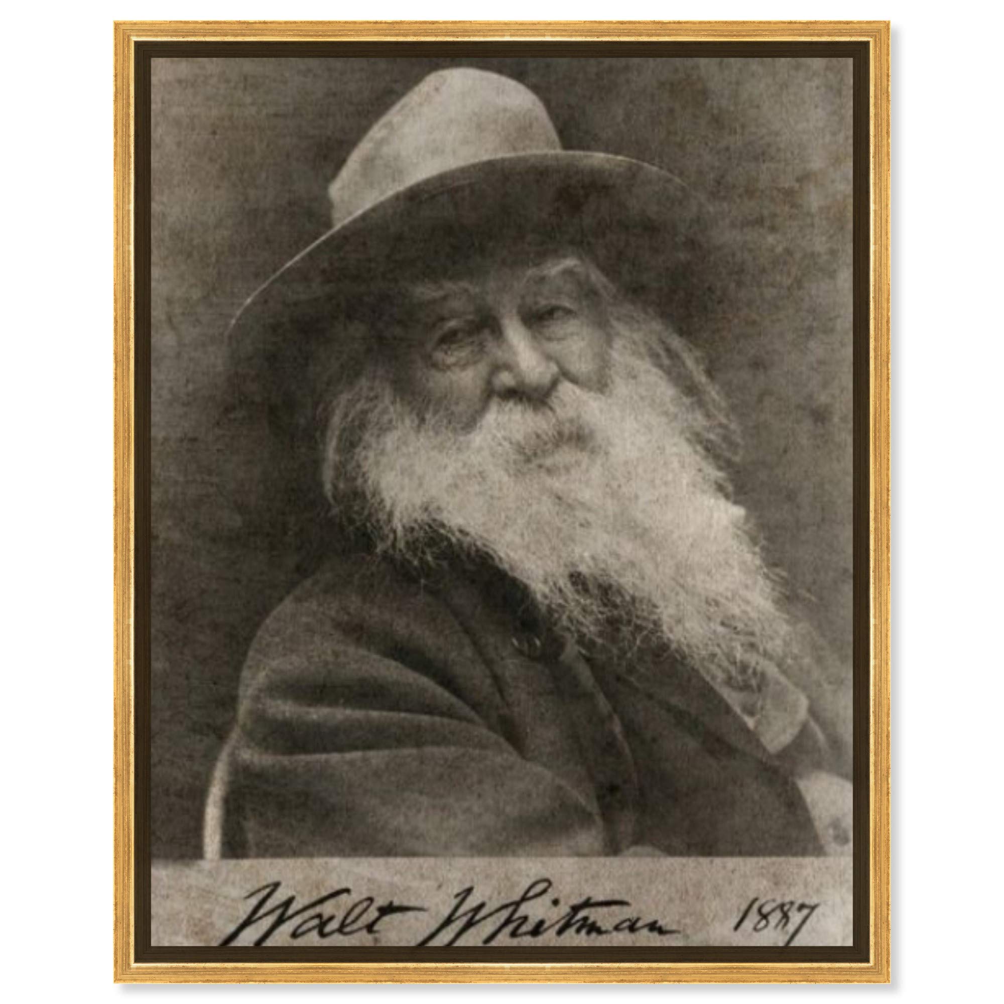 Framed Canvas Wall Art 'Walt Whitman' Portrait - 20x24 Inch Brown & White Celebrity Home Decor - Perfect for Living Room, Bedroom or Office Décor