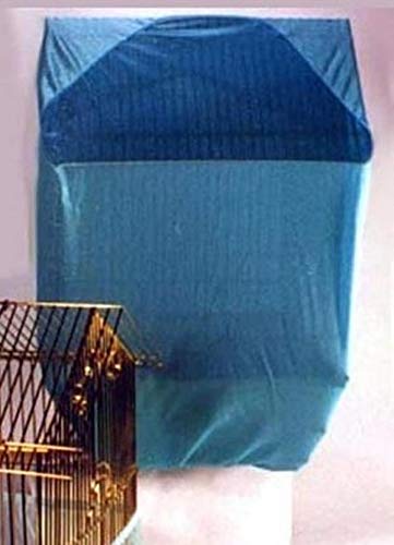 Aqua