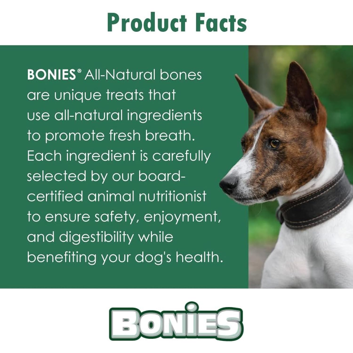 Bonies Natural Skin & Coat Formula Dog Treats - Medium Size Chicken Flavor (8 Bones) - Promotes Silky Coat, Healthy Skin, Teeth & Fresh Breath - Low Calorie Chews for Medium Dogs - Perfect for Training, Rewards & Dental Care