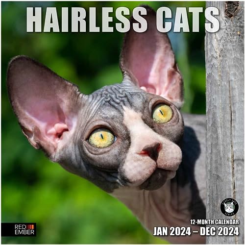 05 - Hairless Cats