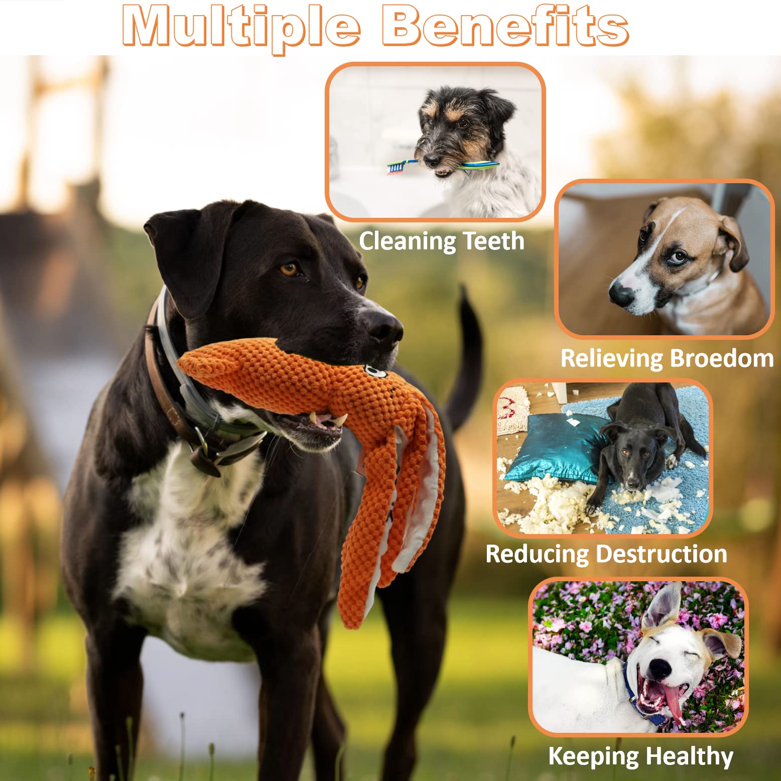 **SUNKYPUP Durable Squeaky Plush Dog Toys for Small, Medium & Large Dogs - Chew-Proof Puppy Toys for Aggressive Chewers, Interactive Play & Training (Orange)**    *Perfect for indoor play, outdoor fetch, teething puppies, and keeping large breeds entertained.*