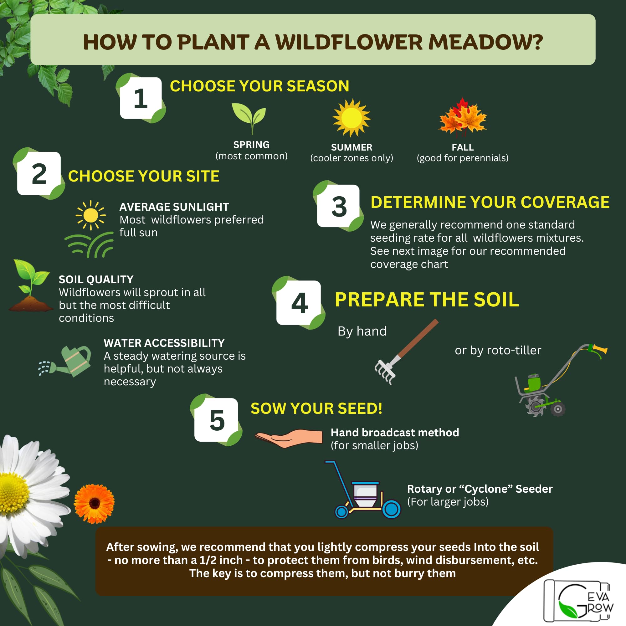 Bulk Wildflower Seed Shaker – 1 Pound Tub with 900,000+ Perennial Flower Seeds Mix (20 Varieties) by Geva Grow – Perfect for Gardens, Meadows & DIY Wedding Favors