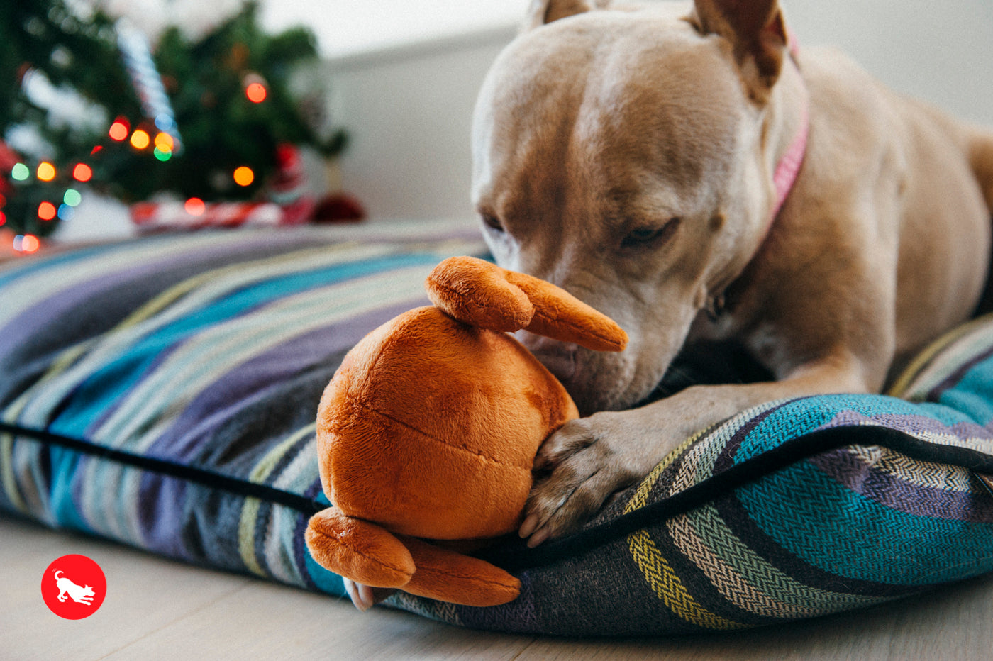 El Pavo Entero Holiday Classic™ Dog Plush Toy - Soft & Durable Chew Toy for Small & Large Dogs | Perfect for Thanksgiving, Christmas & Playtime Fun | Pet P.L.A.Y.