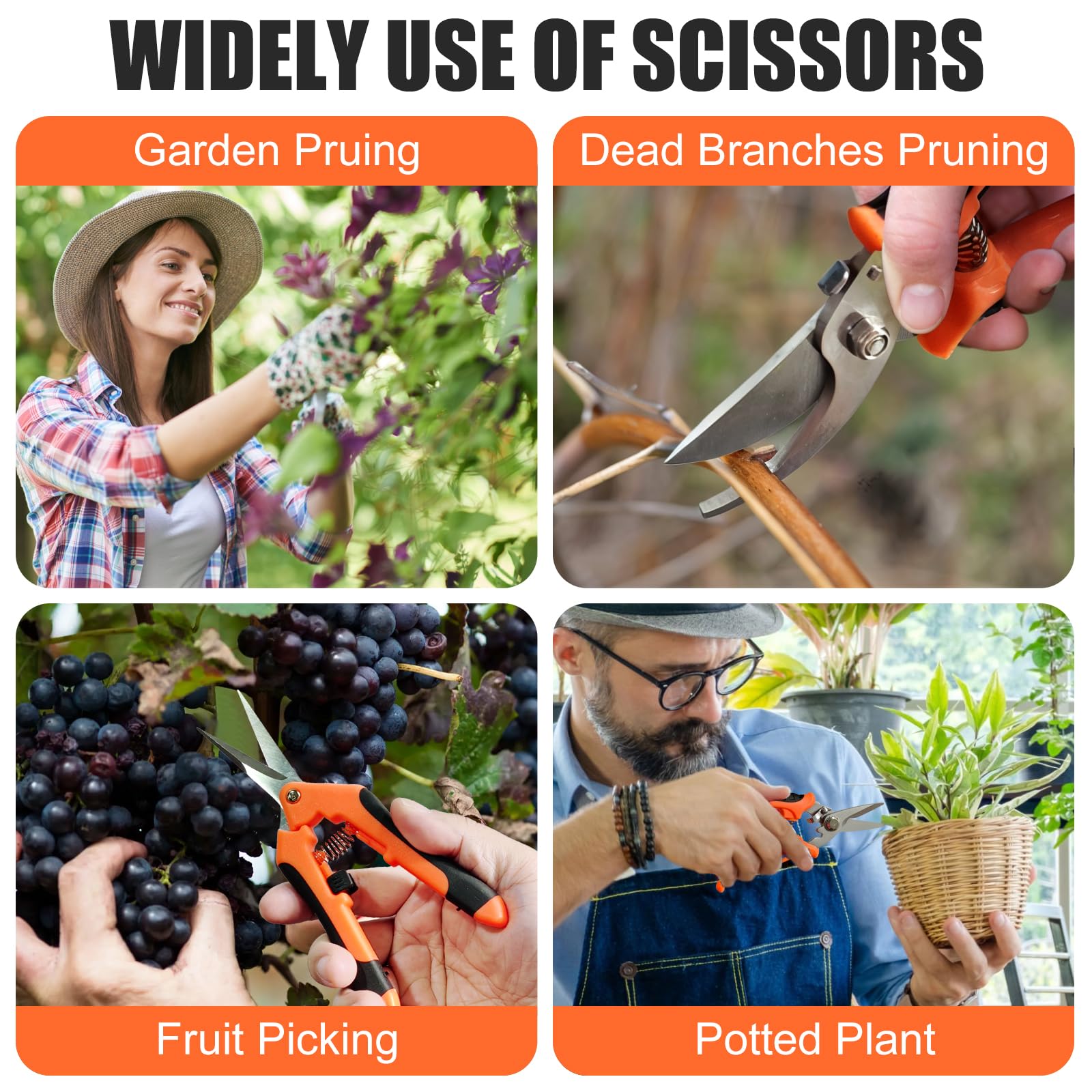 3-Piece Stainless Steel Gardening Shears Set - Pruning Scissors for Plants, Flowers, Fruit Trees | Durable Garden Tools for Trimming, Harvesting & Landscaping