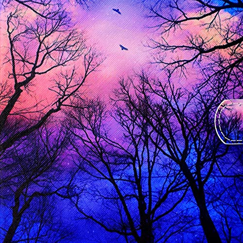 Twilight