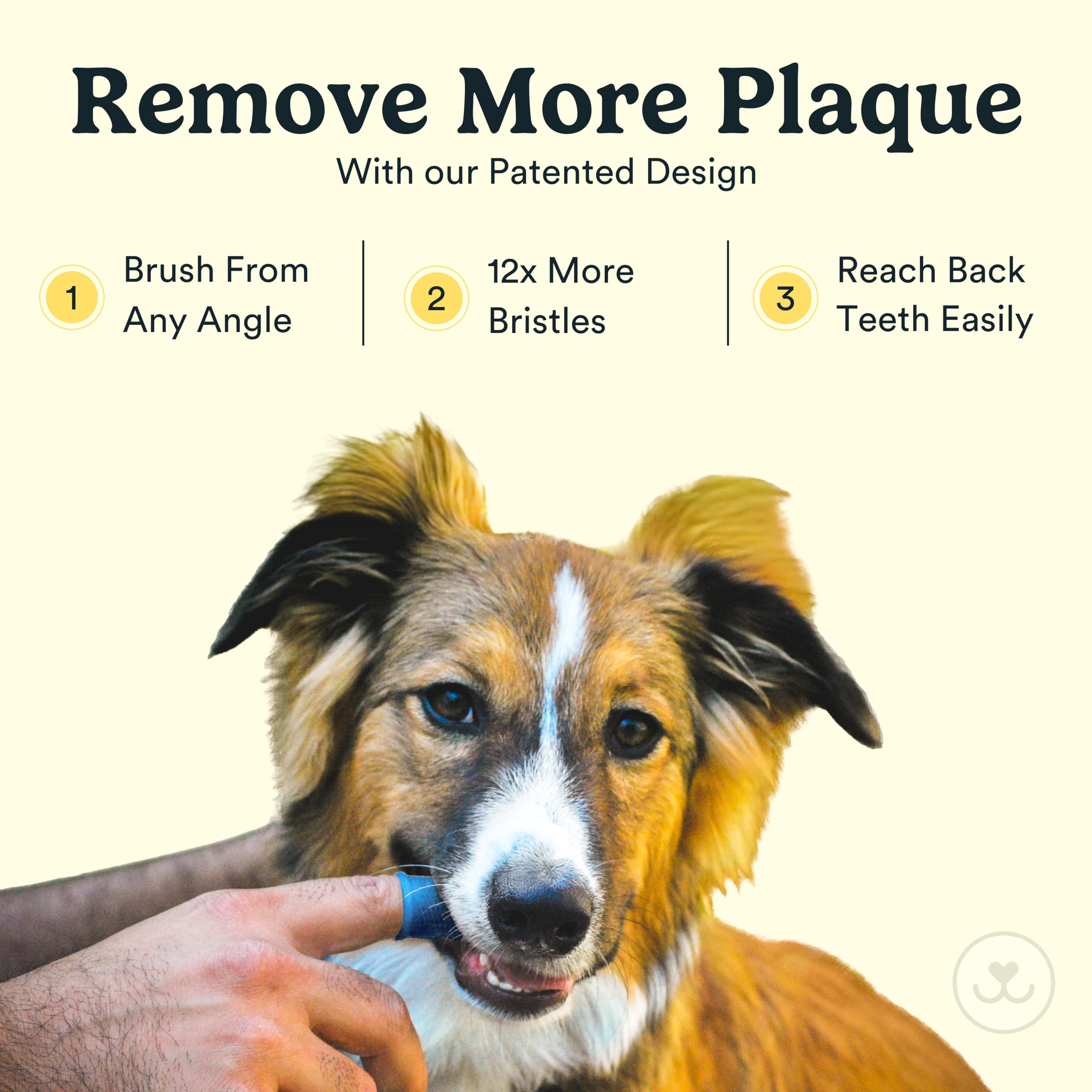 360-Degree Jasper Dog Toothbrush & Cat Toothbrush Kit - 4 Pack Pet Finger Toothbrush for Teeth Cleaning with Dog Toothpaste - Perfect for Daily Oral Care at Home or Vet Visits