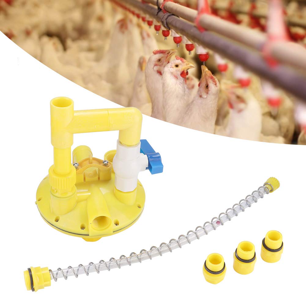 Secure Water Line Regulator with Pressure Reducing Valve for Outdoor Farmed Chicken Coops and Poultry Watering Systems