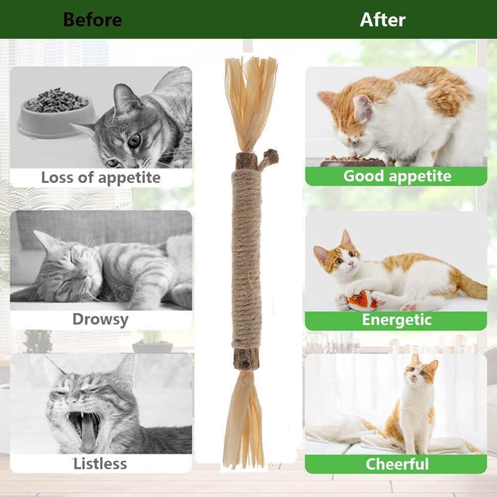 3 PCS Natural Silvervine Sticks for Cats - Dental Chew Toys for Kittens & Aggressive Chewers, Catnip Alternative for Teeth Cleaning | Portable Cat Chew Sticks for Travel & Home Use