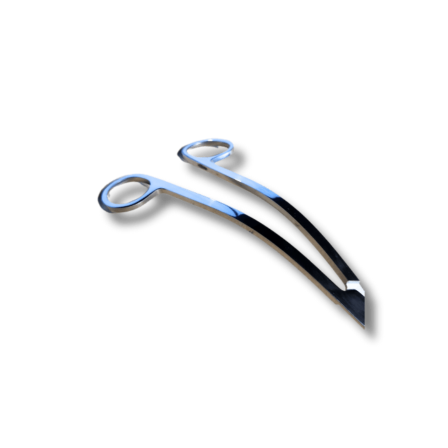 Premium Aquascaping Scissors - 25cm Double Curved Stainless Steel Aquatic Plant Trimming Tools for Aquarium, Bonsai & Terrarium Maintenance