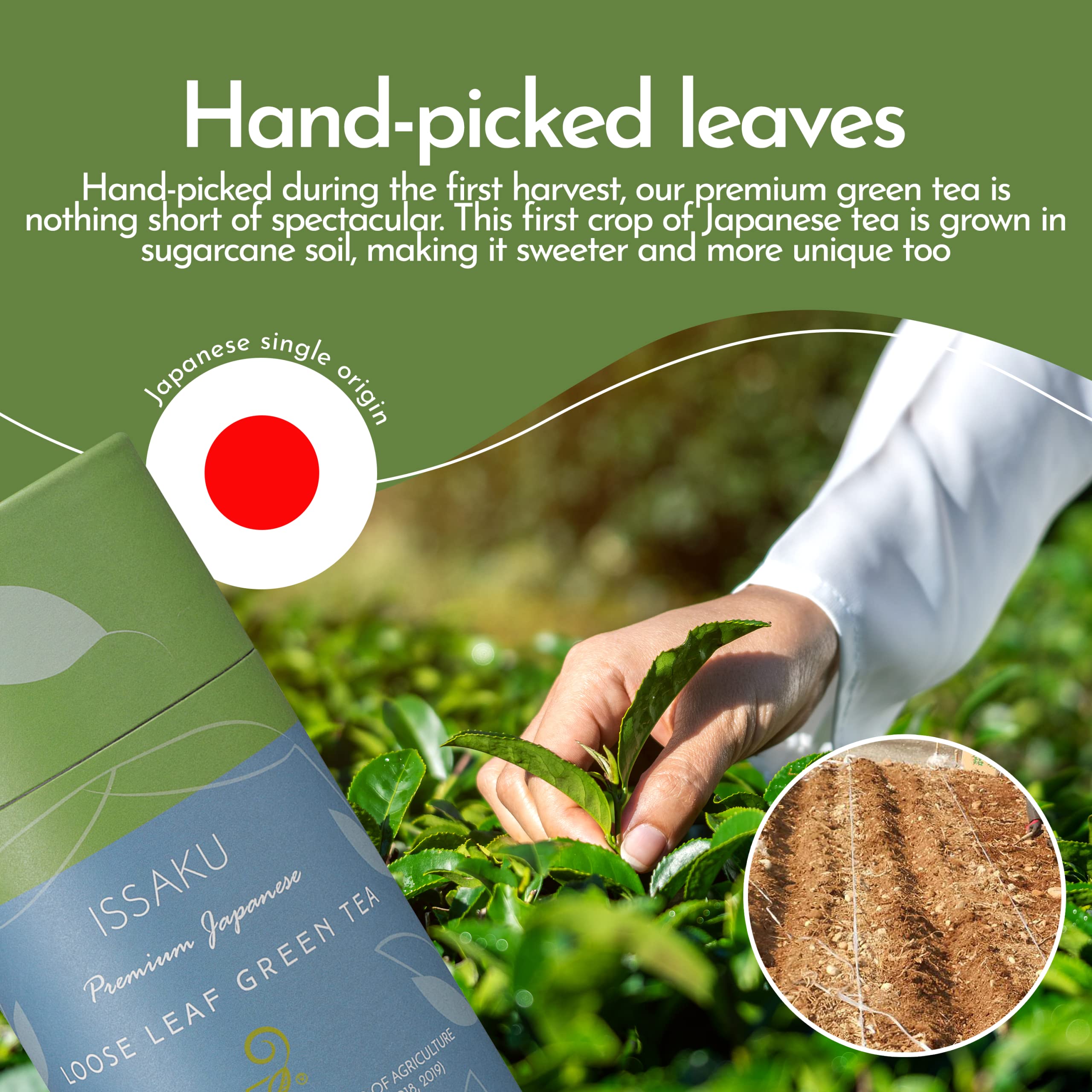 Premium Japanese Green Tea Set - Issaku & Gokuzyo Aracha Teas with Tokoname Kyusu Teapot | 3-Piece Authentic Japanese Tea Collection | Perfect for Tea Ceremonies, Gifts & Daily Relaxation