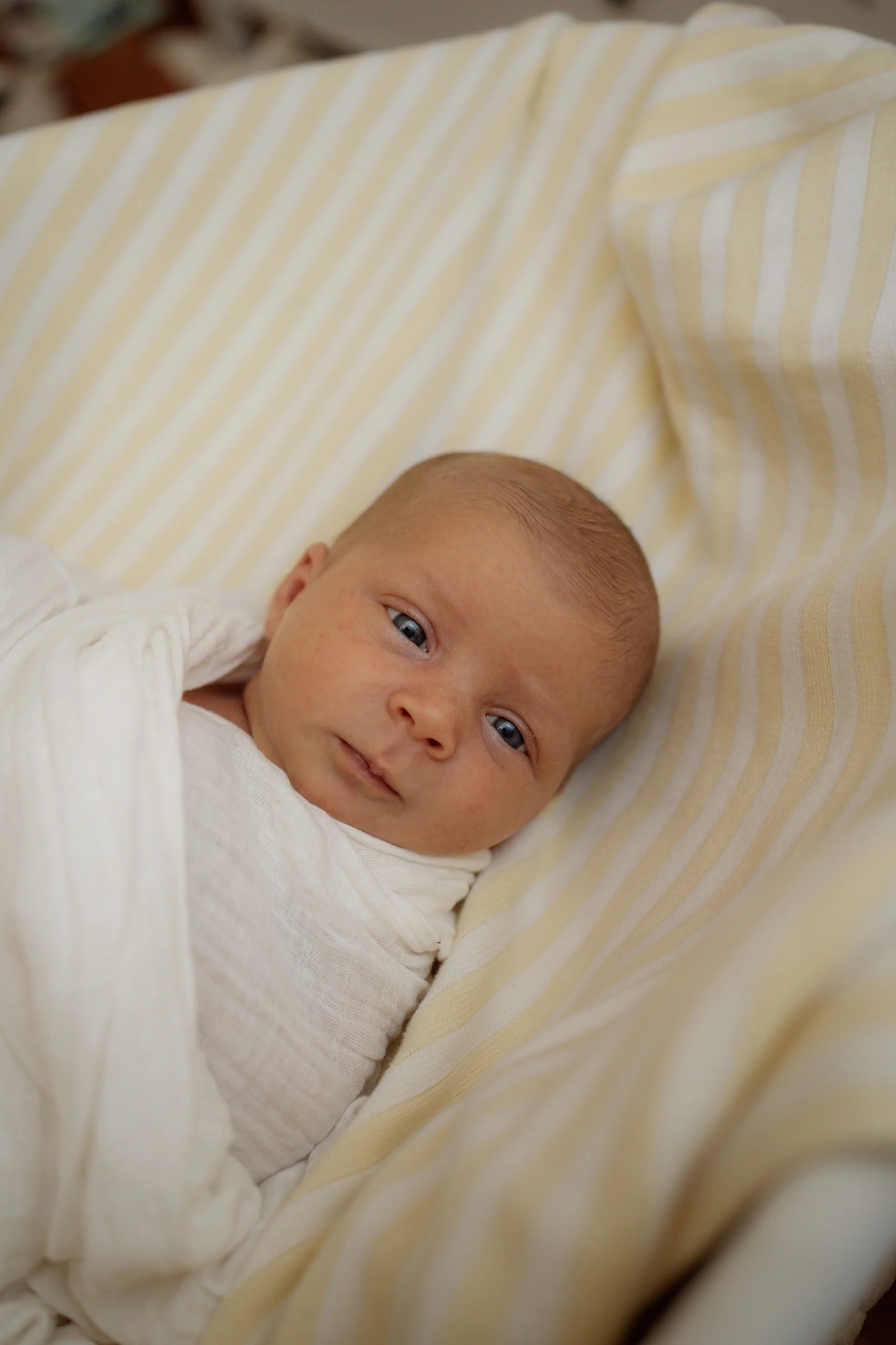 Pop Ya Tot Organic Cotton Baby Blanket - Soft & Hypoallergenic for Newborns & Toddlers - Lemon Carnival Print - Perfect for Nursery, Swaddling & Stroller Use