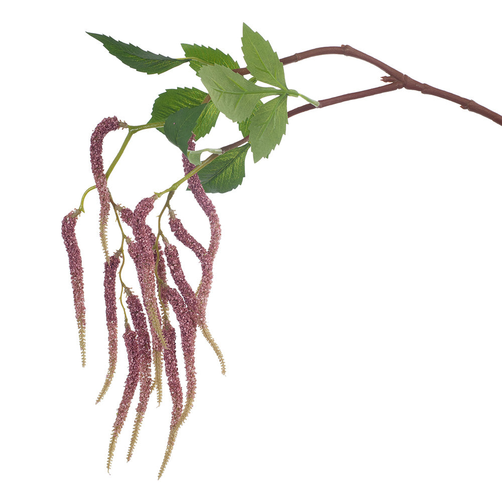 Organic Pink Amaranth Seeds - Non-GMO, Heirloom, High-Protein Superfood for Smoothies, Salads & Baking | USA Grown, Vegan & Gluten-Free