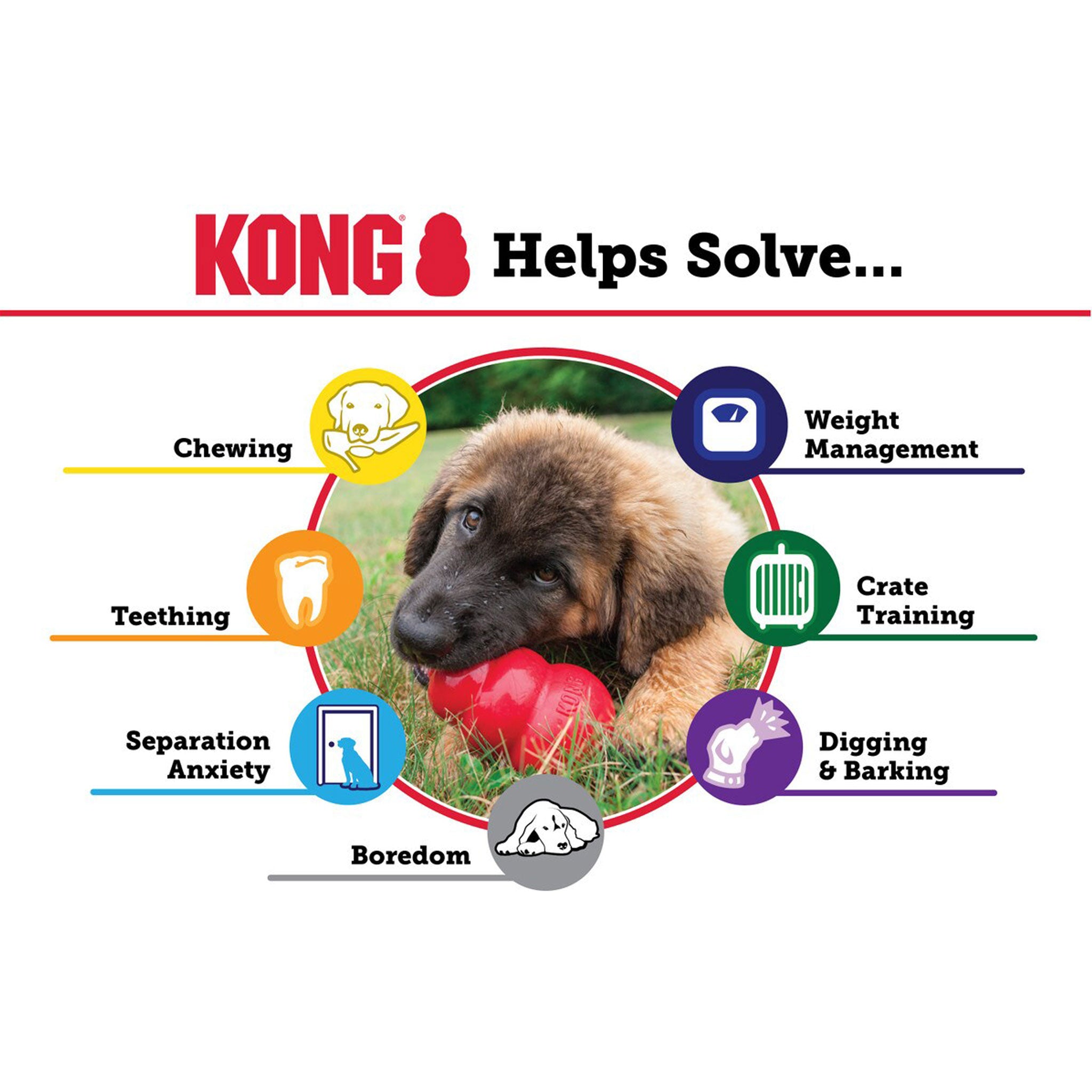Kong Classic Senior Dog Toy - Durable Chew Toy for Older Dogs - Perfect for Teething, Boredom & Anxiety Relief - Great for Indoor & Outdoor Play