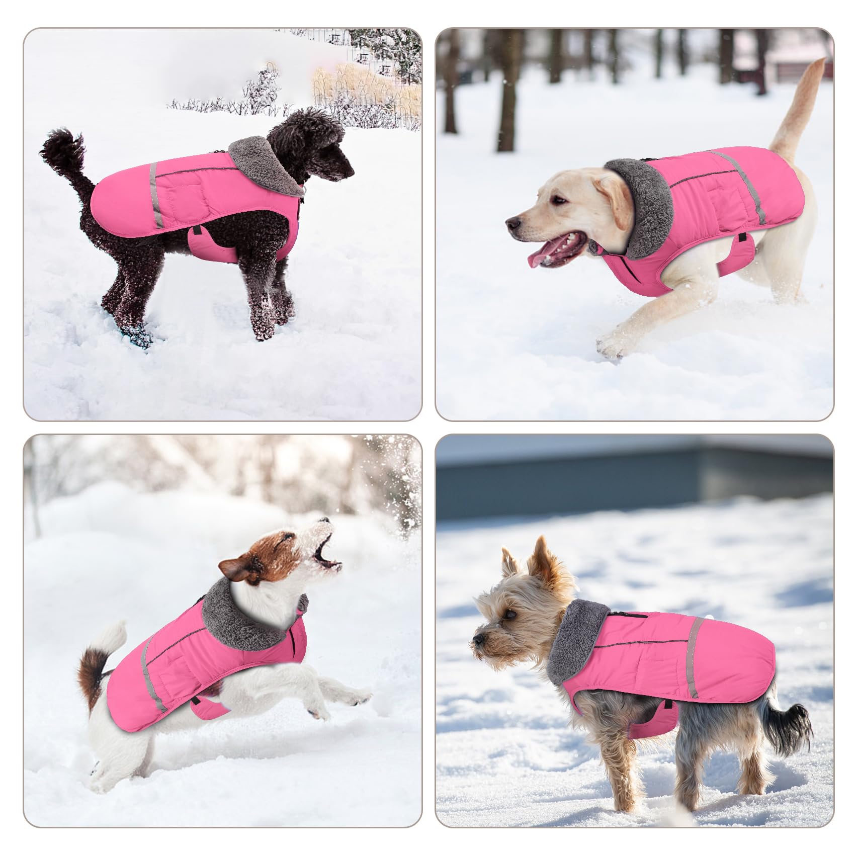 Doglay Waterproof Dog Jacket for Winter - Thick Fleece Lined Coat with Furry Collar & Reflective Strips | Small Medium Large Dog Snow Coat for Cold Weather | Perfect for Outdoor Walks, Hiking & Snowy Adventures