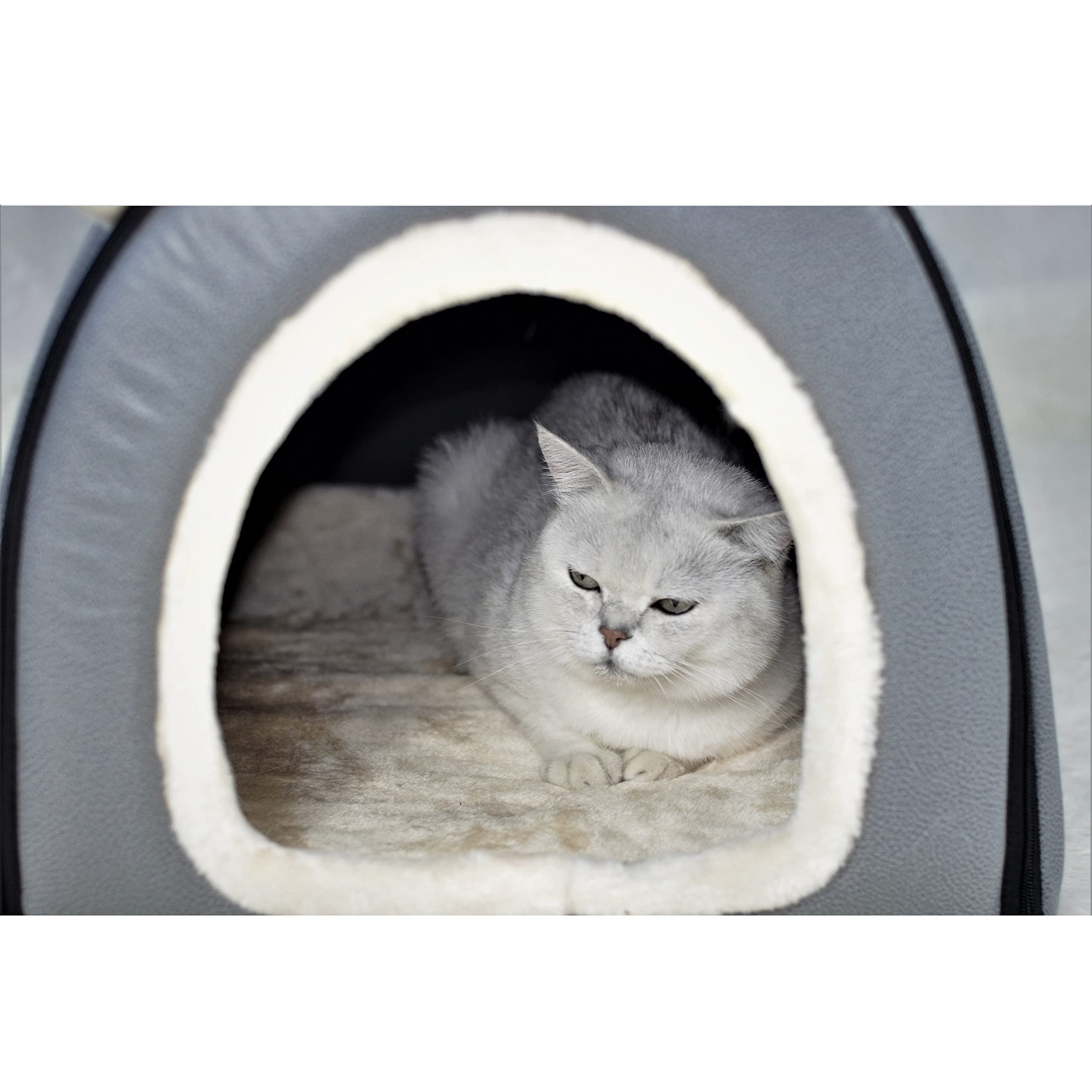 Washable Dog Bed with Removable Cover - Indoor Pet House for Large Dogs - Home & Travel Use