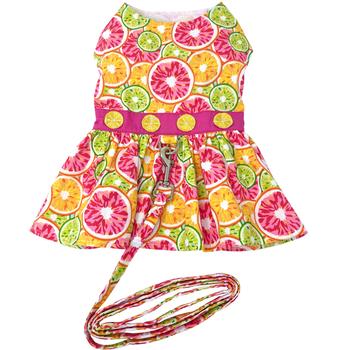 Citrus Slice Dog Dress with Matching Leash - Cute Summer Pet Outfit for Small Dogs, Perfect for Beach Walks & Outdoor Adventures