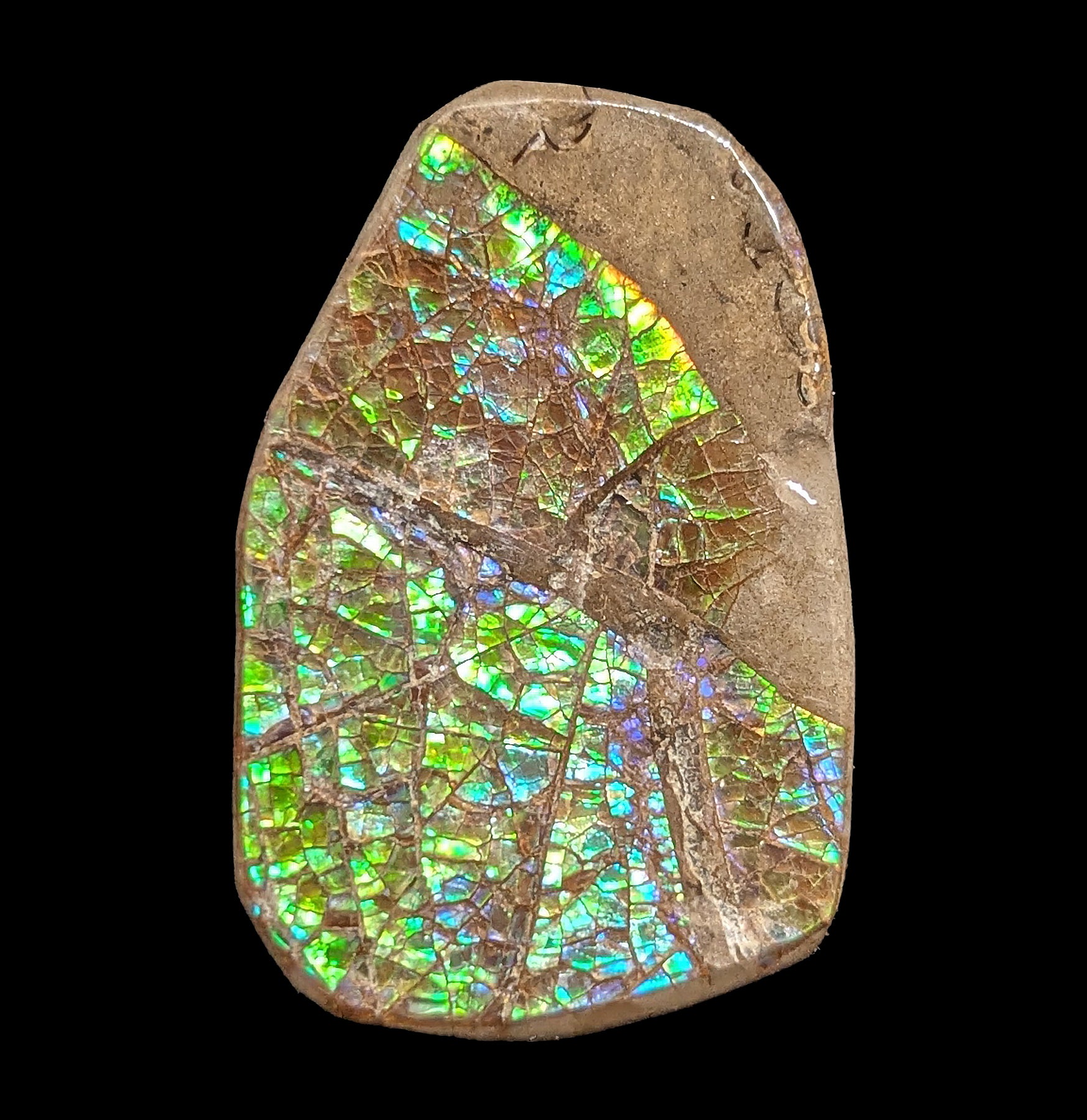 Natural Ammolite Gemstone Fragment - Rare Iridescent Fossil Shell Jewelry Making Supply for Necklaces, Rings & DIY Crafts
