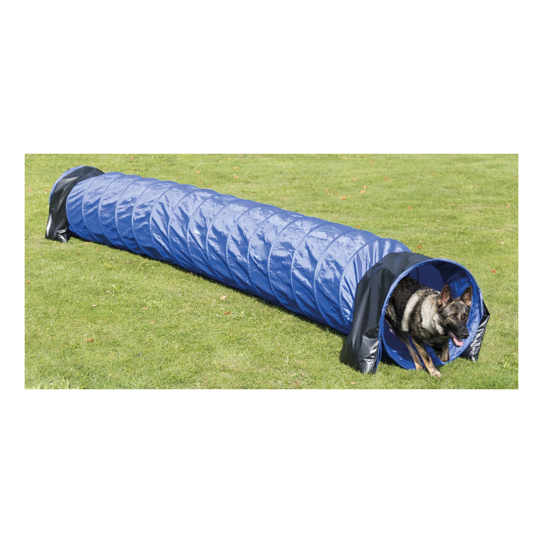 TRIXIE Dog Agility Tunnel - Large Pet Training Equipment for Indoor/Outdoor Use, 16.4ft Long & 23.6in Diameter Portable Dog Tunnel for Beginners & Advanced Agility Courses - Perfect for Backyard Training, Competitions & Fun Exercise