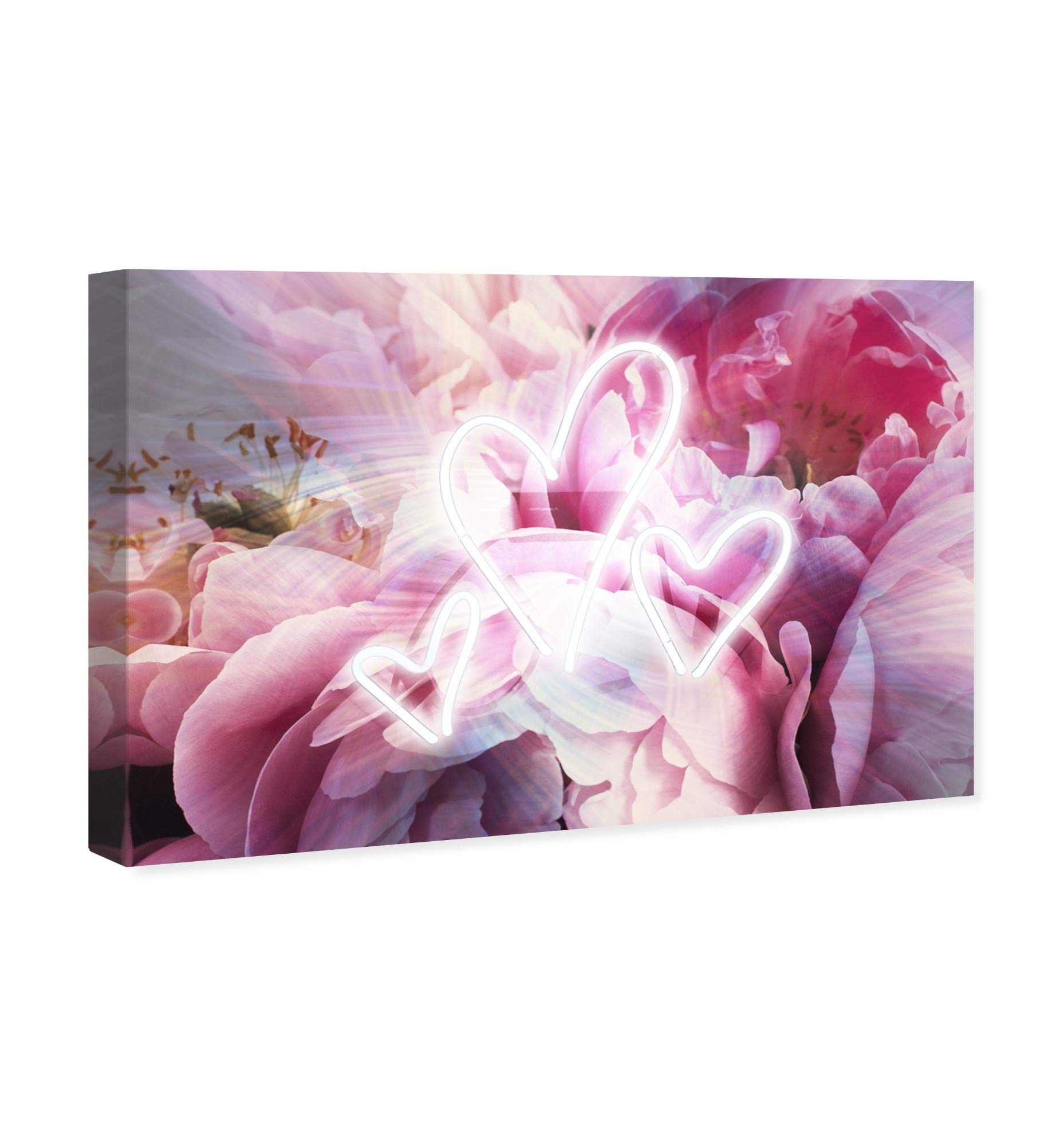 Oliver Gal Artist Co. Floral Wall Art Canvas Print - Pink & White LED Hearts Home Decor - 30x20 Inches - Perfect for Living Room, Bedroom & Office Decoration