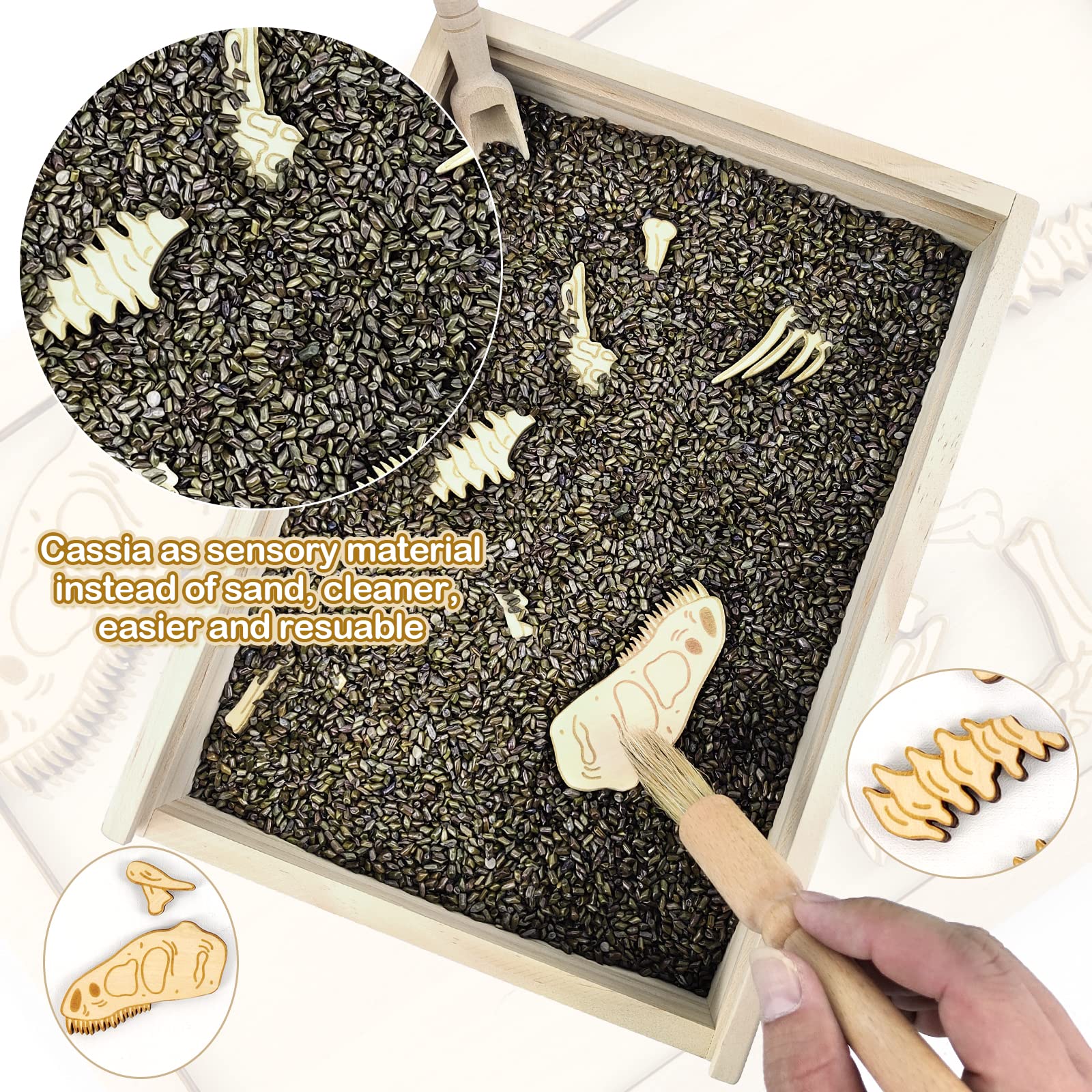 Dinosaur Excavation Kit for Kids - STEM Archaeology Science Toy with Fossil Dig Tools, T-Rex Skeleton Puzzle & Sensory Bin | Educational STEM Gift for Boys & Girls | Perfect for Classroom Science Projects & Birthday Party Activities