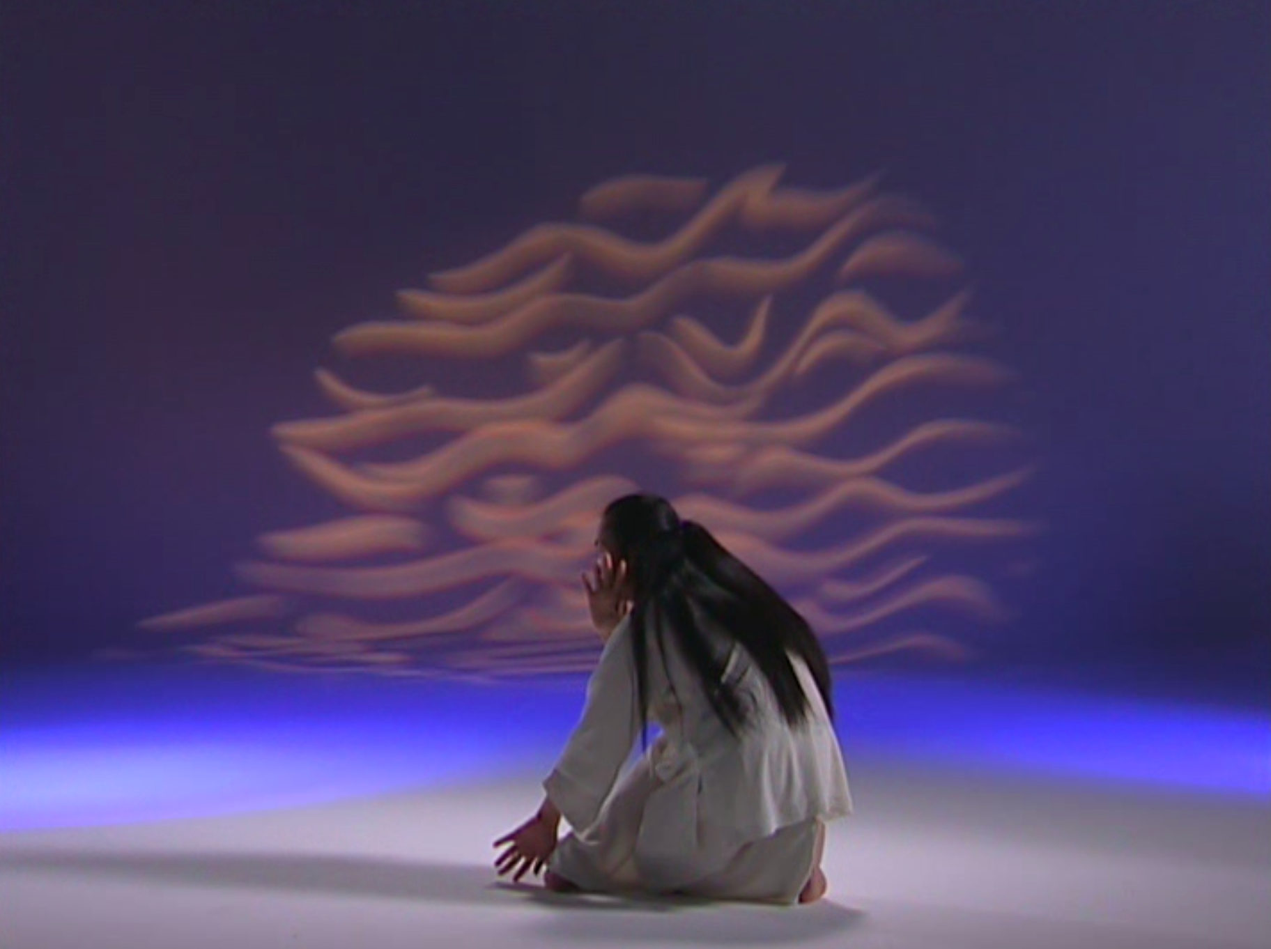 Authentic Chinese Shamanic Tiger Qigong DVD by Master Zhongxian Wu - Traditional Energy Healing & Martial Arts Training for Stress Relief, Fitness, and Spiritual Growth - Perfect for Home Practice, Meditation, and Self-Defense