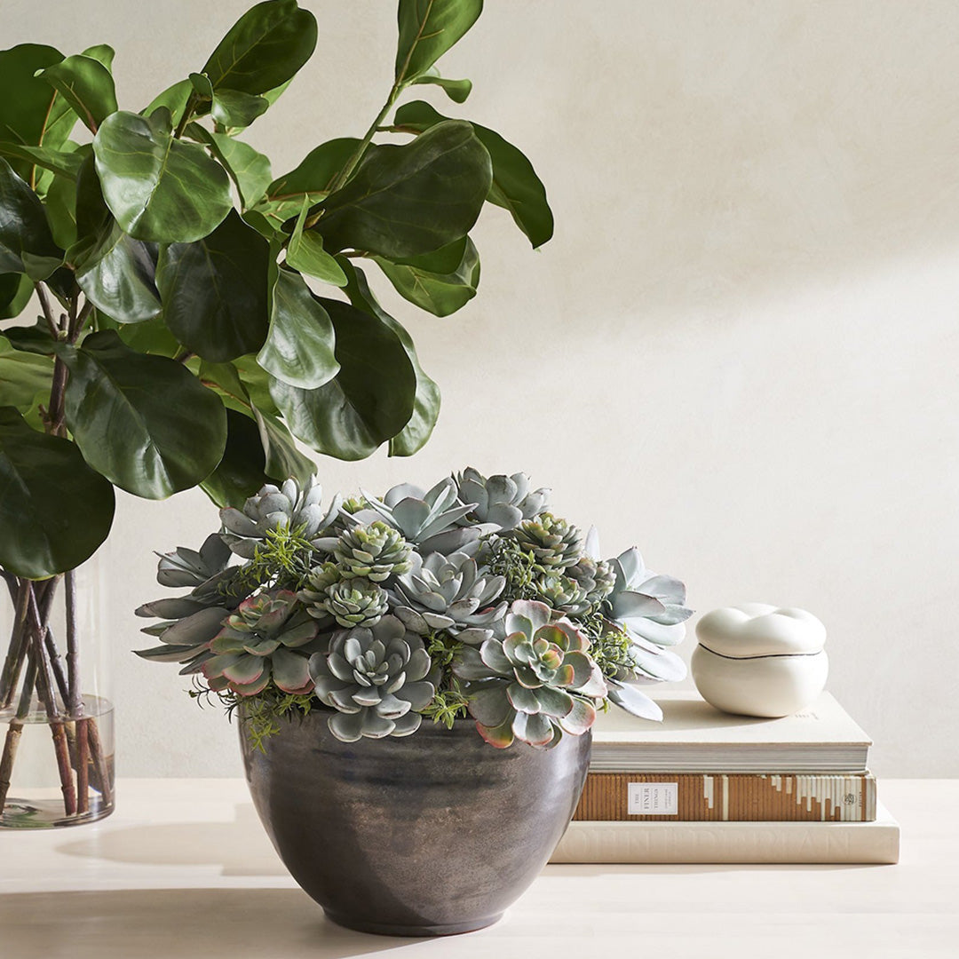 Mixed Succulent Plants in Handmade Crete Bowl - Perfect for Home Décor, Office Desk & Gift Giving