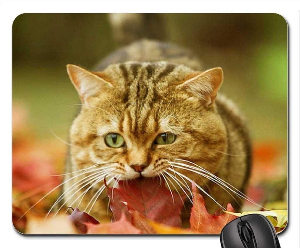 Cat in The Autumn Leaves Mouse Pad - Non-Slip Cute Cat Design Gaming Mousepad for Computer Laptop - Perfect for Office, Home & Gaming Setup