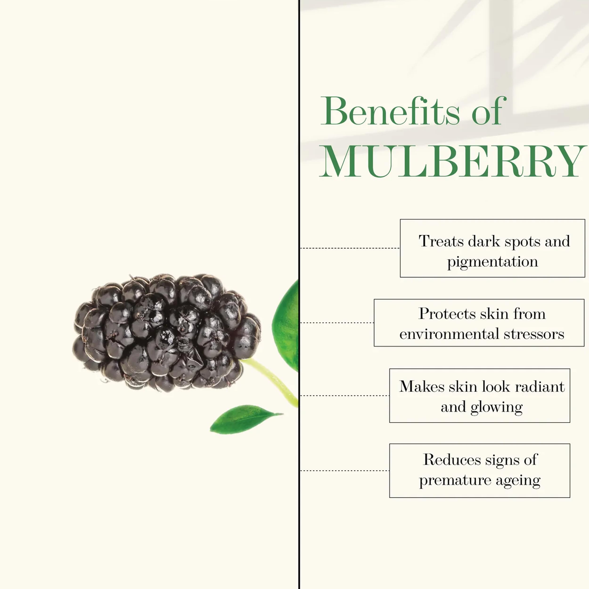 Good Vibes Rose & Mulberry Gel - 50g | Brightening & Hydrating Face Gel for Glowing Skin | Acne Treatment & Hair Loss Prevention | Vegan & Cruelty-Free | Perfect for Daily Skincare & Nighttime Routine